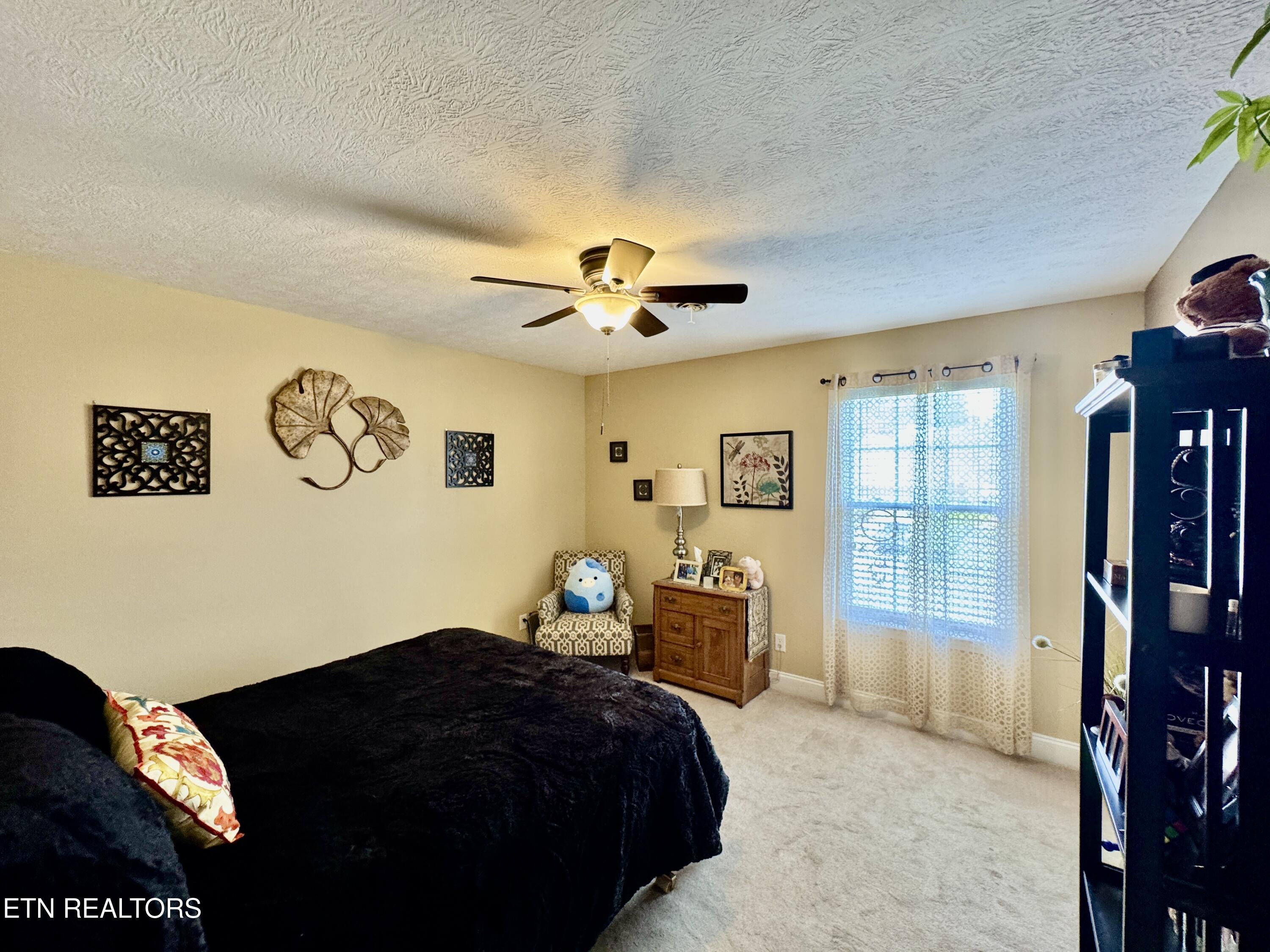 7609 Wilderness Path Road Corryton TN 37721