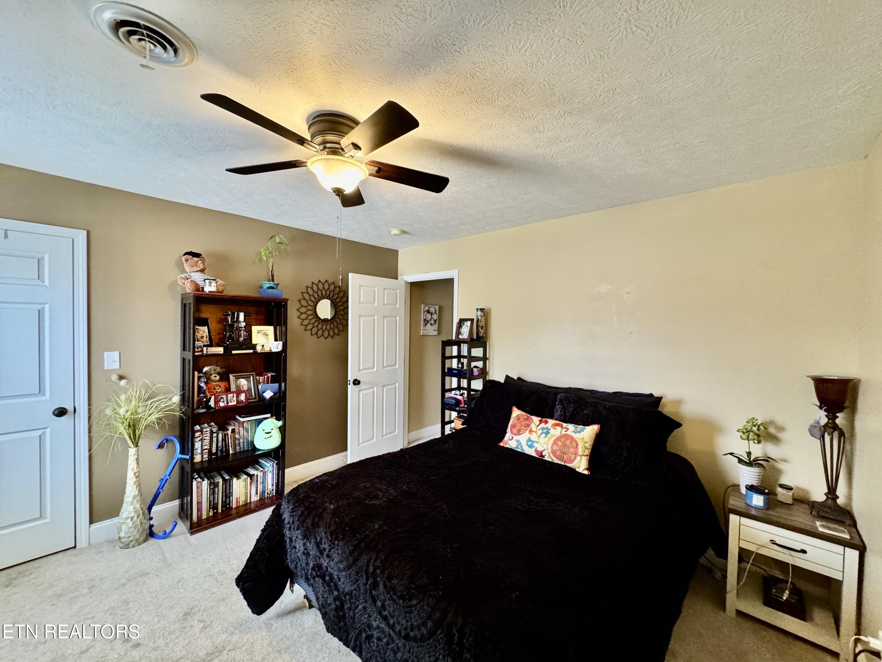 7609 Wilderness Path Road Corryton TN 37721