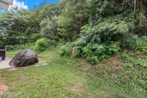 7609 Wilderness Path Road Corryton TN 37721