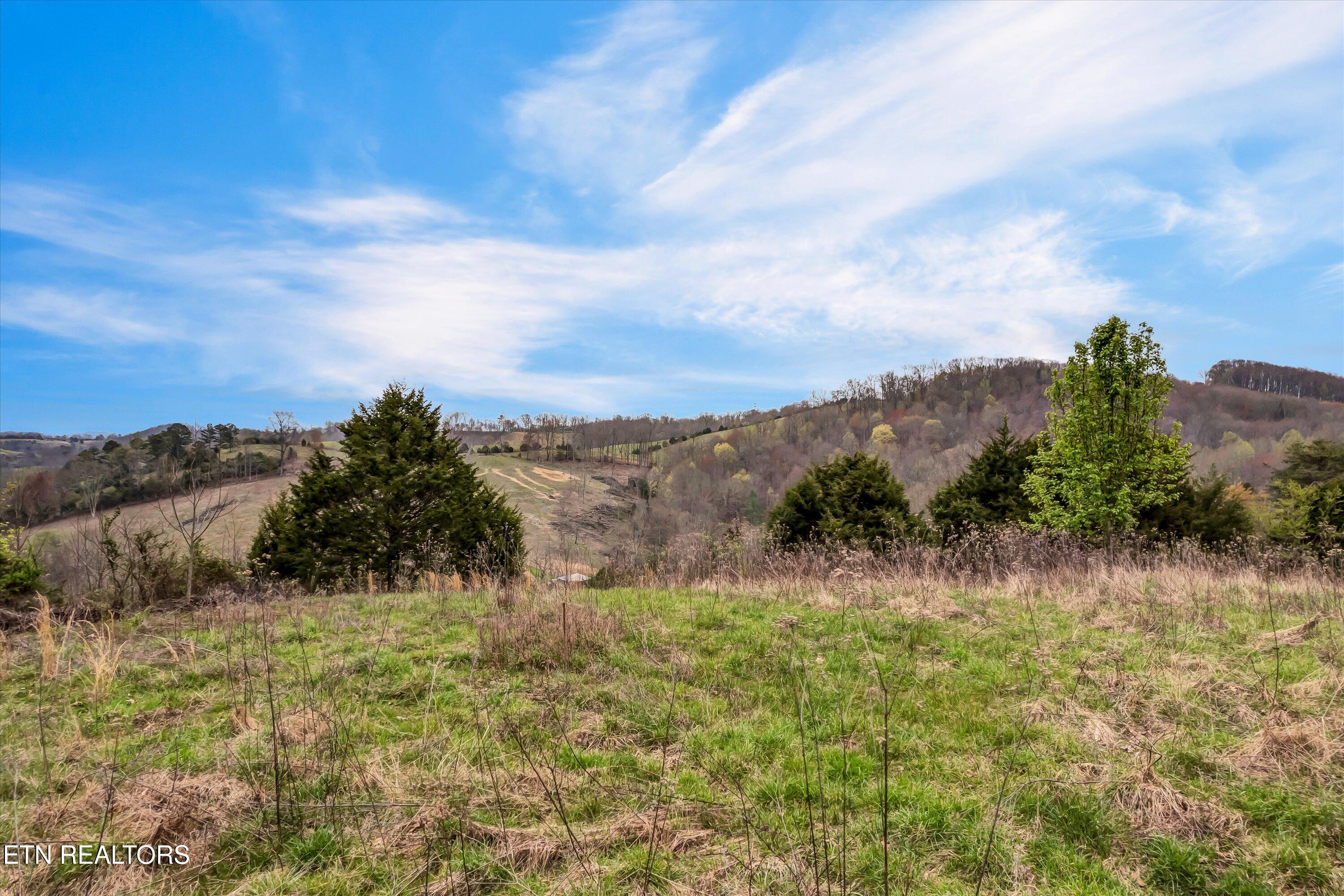 290 Maddox Lane New Tazewell TN 37825