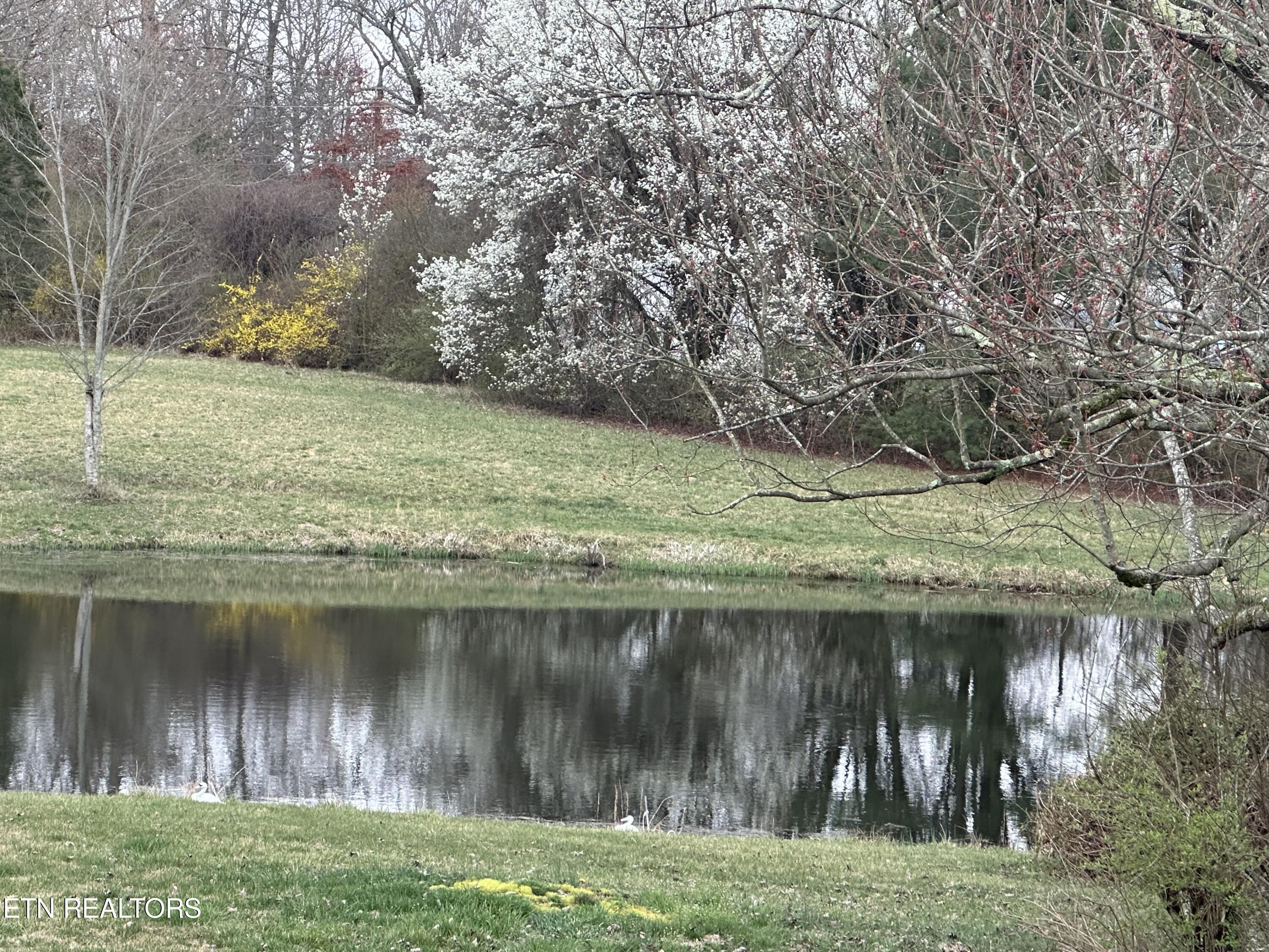 268 Plateau Road Crossville TN 38571