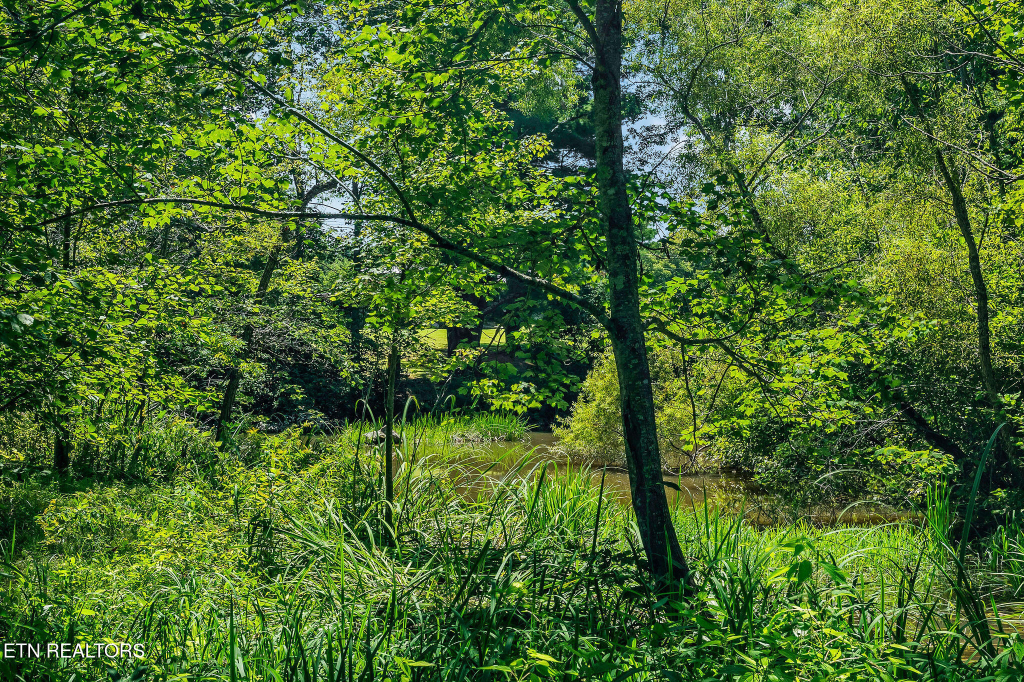 268 Plateau Road Crossville TN 38571