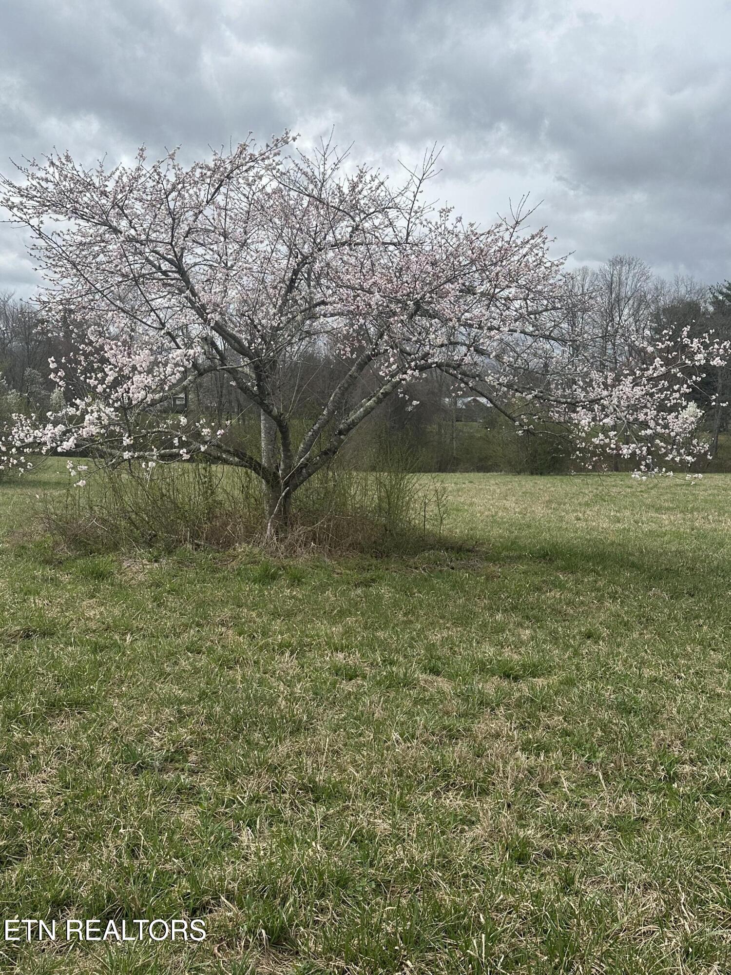 268 Plateau Road Crossville TN 38571
