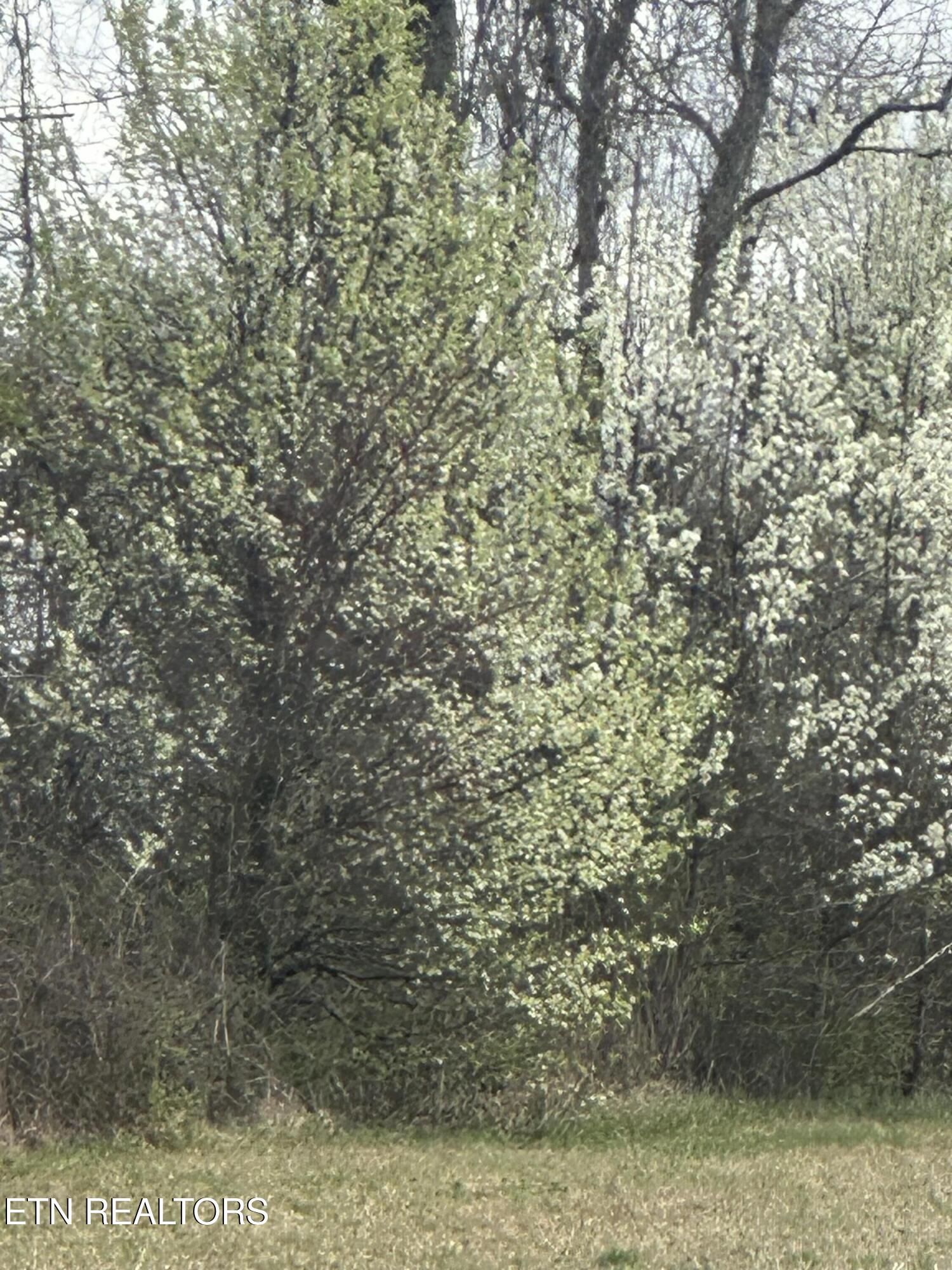 268 Plateau Road Crossville TN 38571