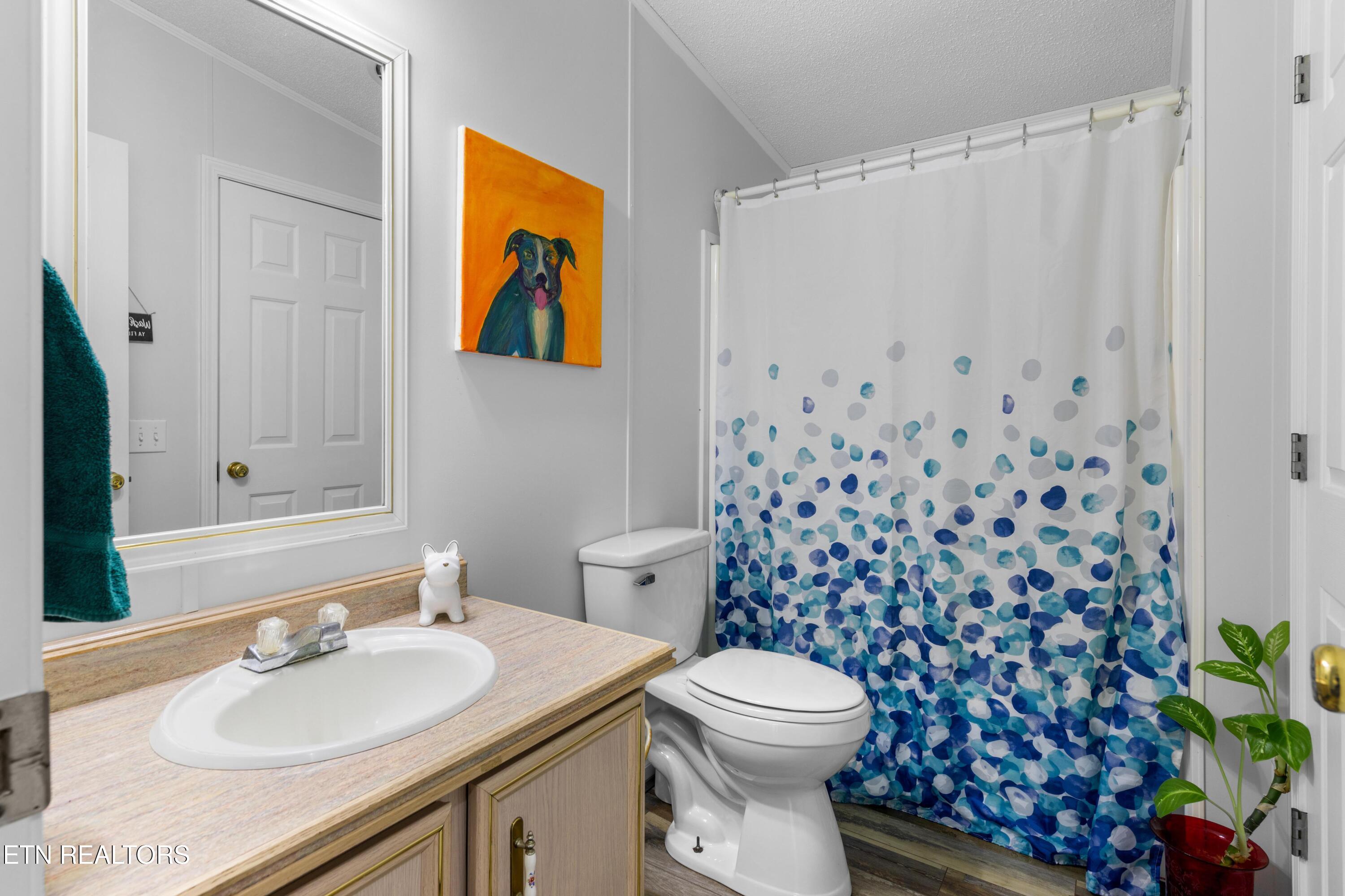 2315 Jim Henry Road Dandridge TN 37725