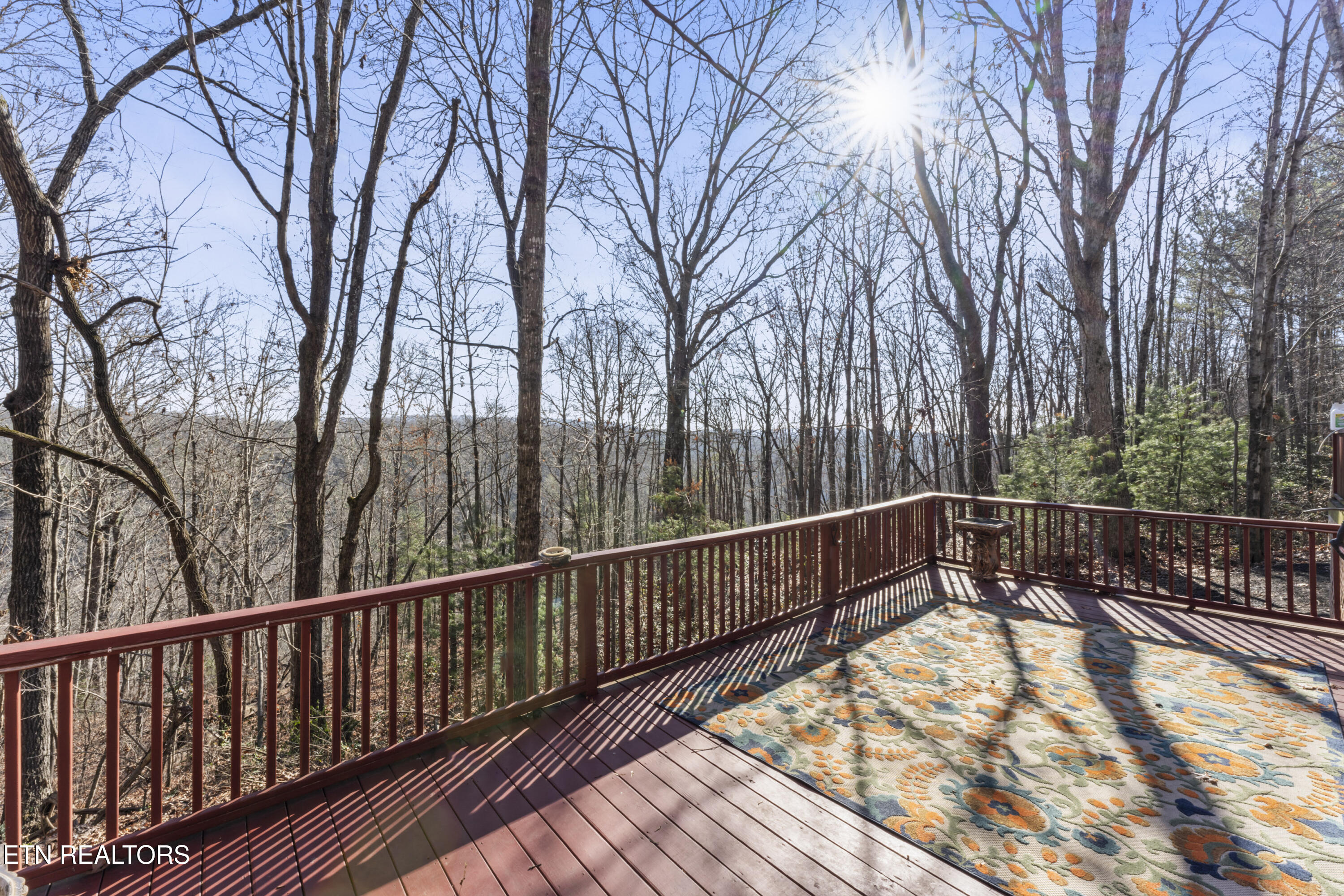 1305 Grievers Chapel Road Rockwood TN 37854