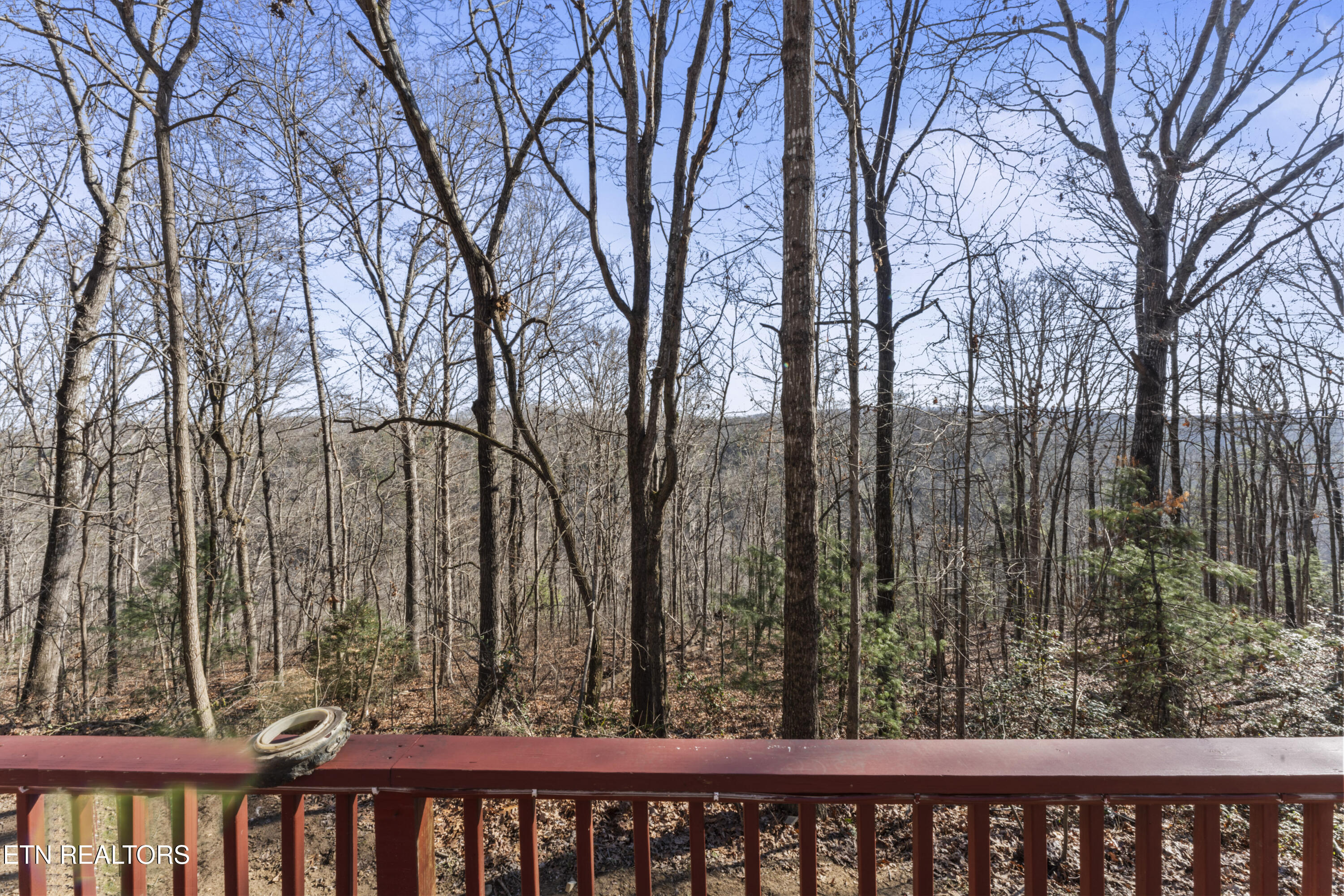 1305 Grievers Chapel Road Rockwood TN 37854