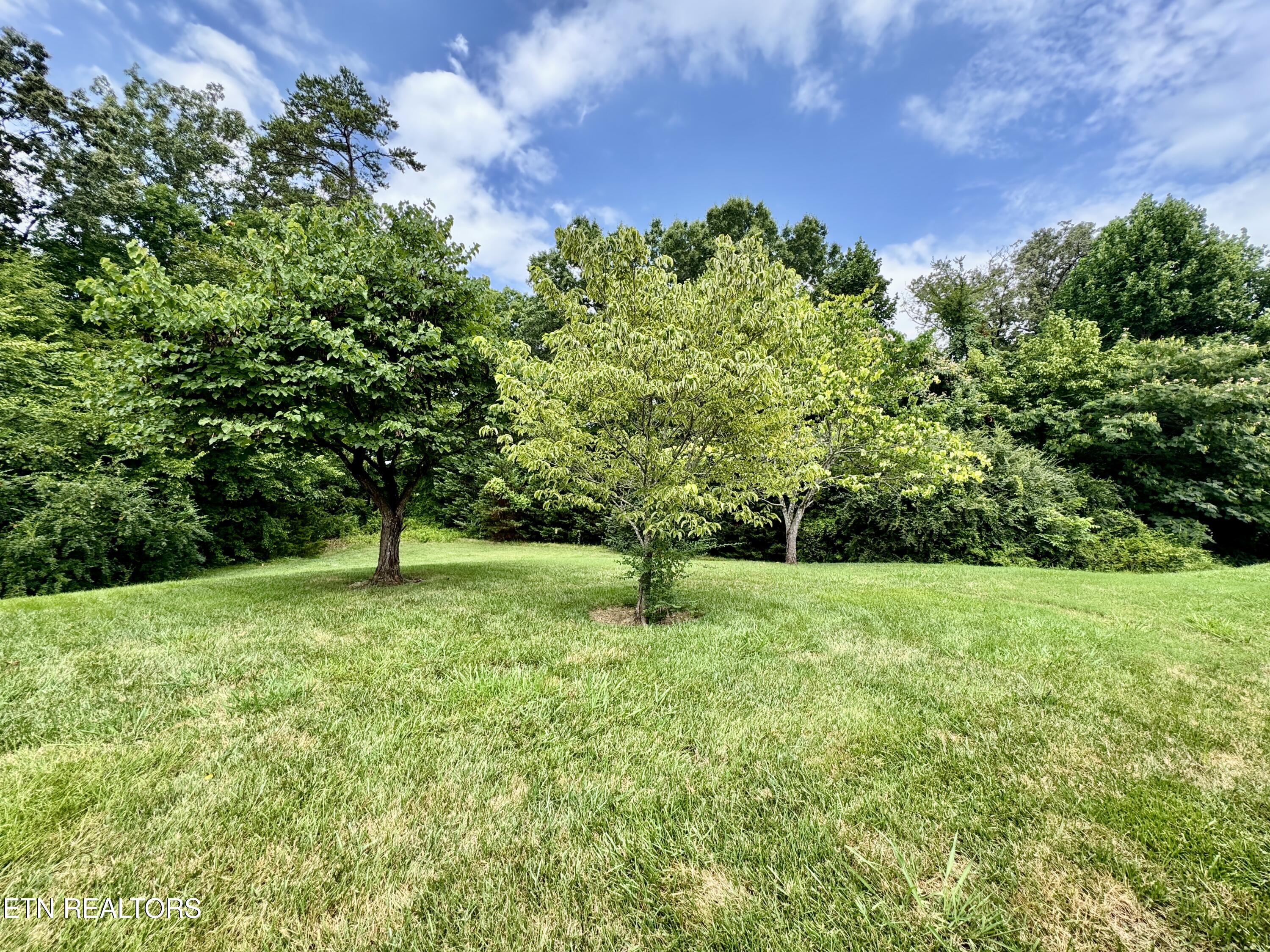 1052 Fine Glen Drive Sevierville TN 37862