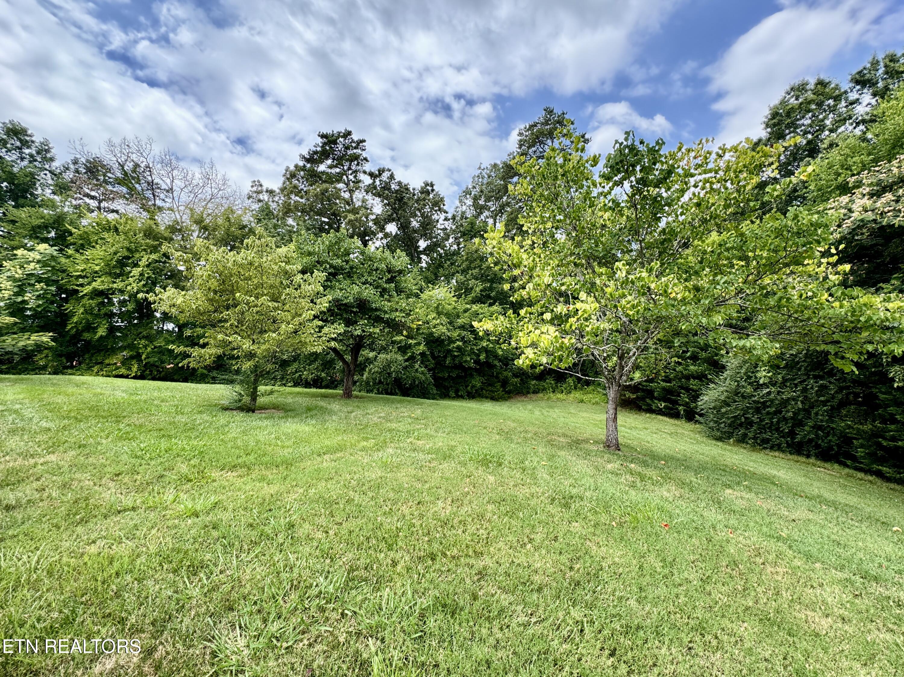 1052 Fine Glen Drive Sevierville TN 37862