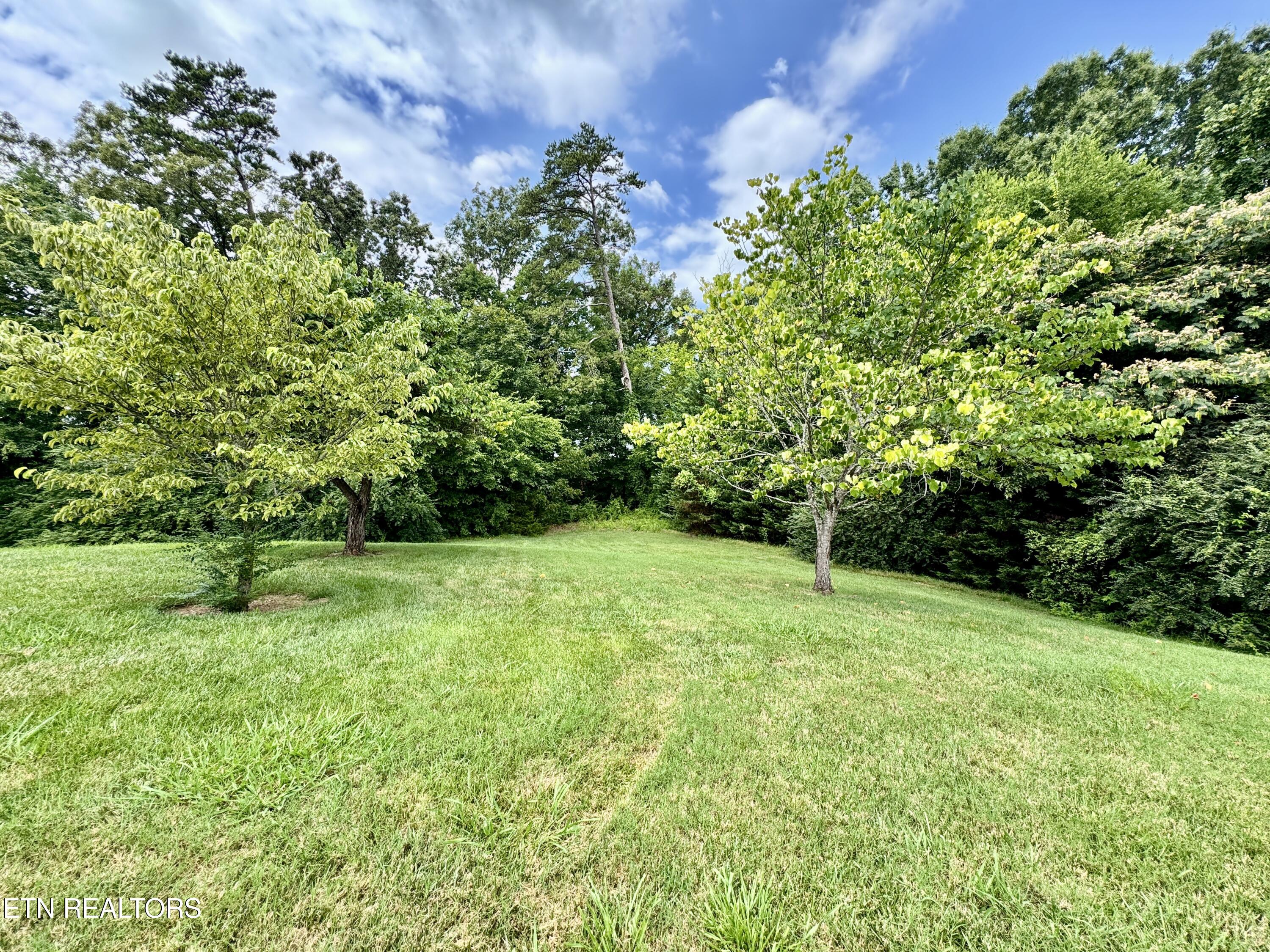 1052 Fine Glen Drive Sevierville TN 37862