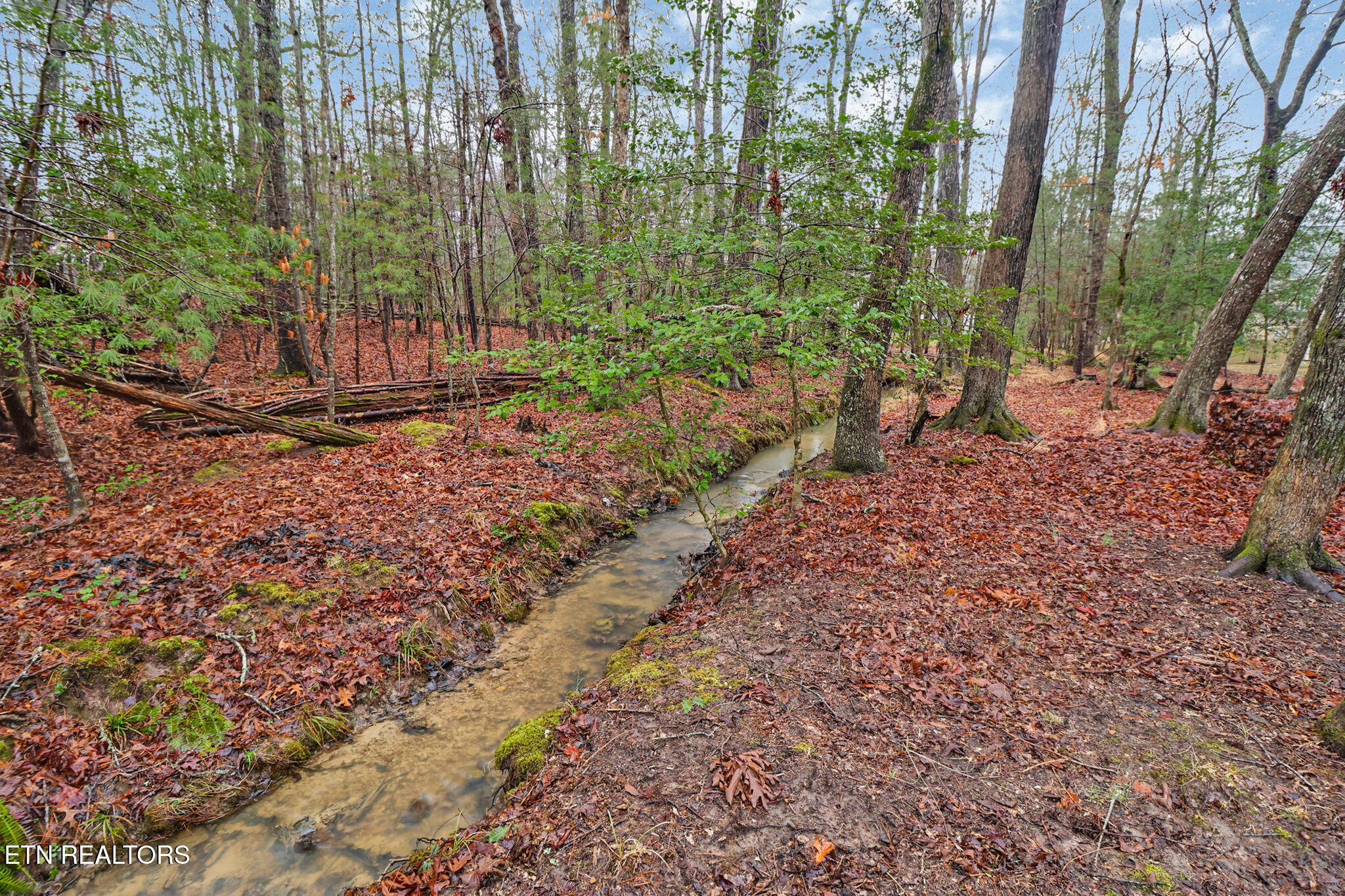 108 Kenwood Drive Fairfield Glade TN 38558