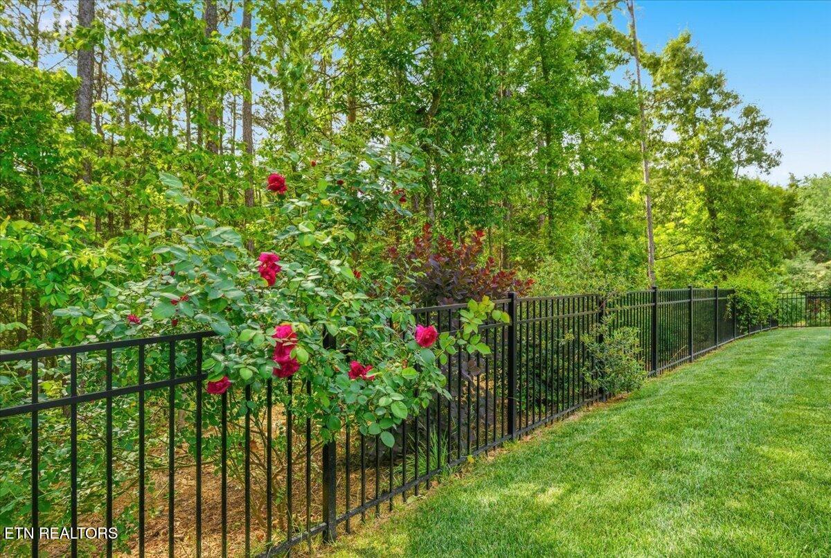 342 Mingo Way Loudon TN 37774
