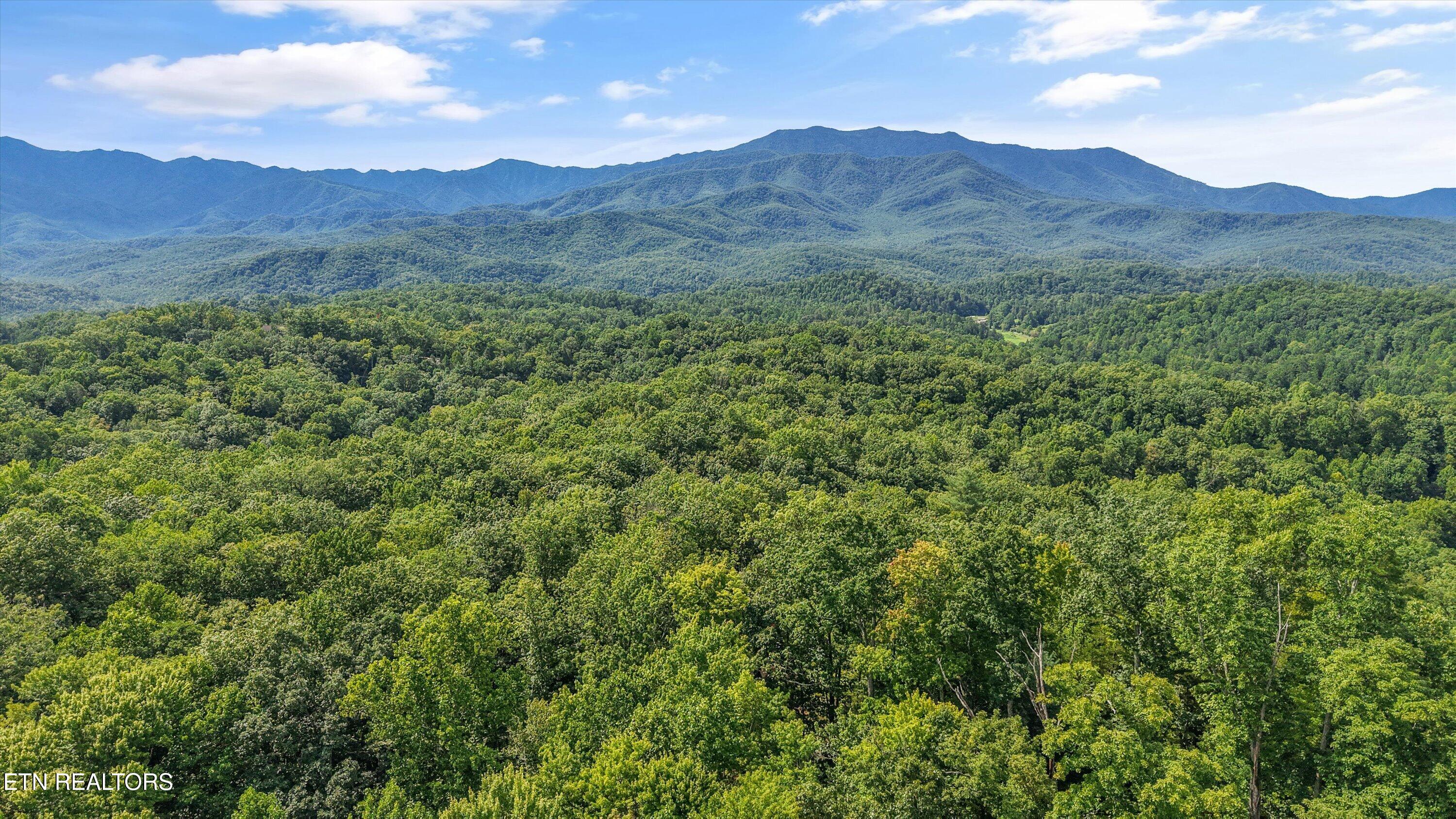 2171 Bause Watson Lane Gatlinburg TN 37738