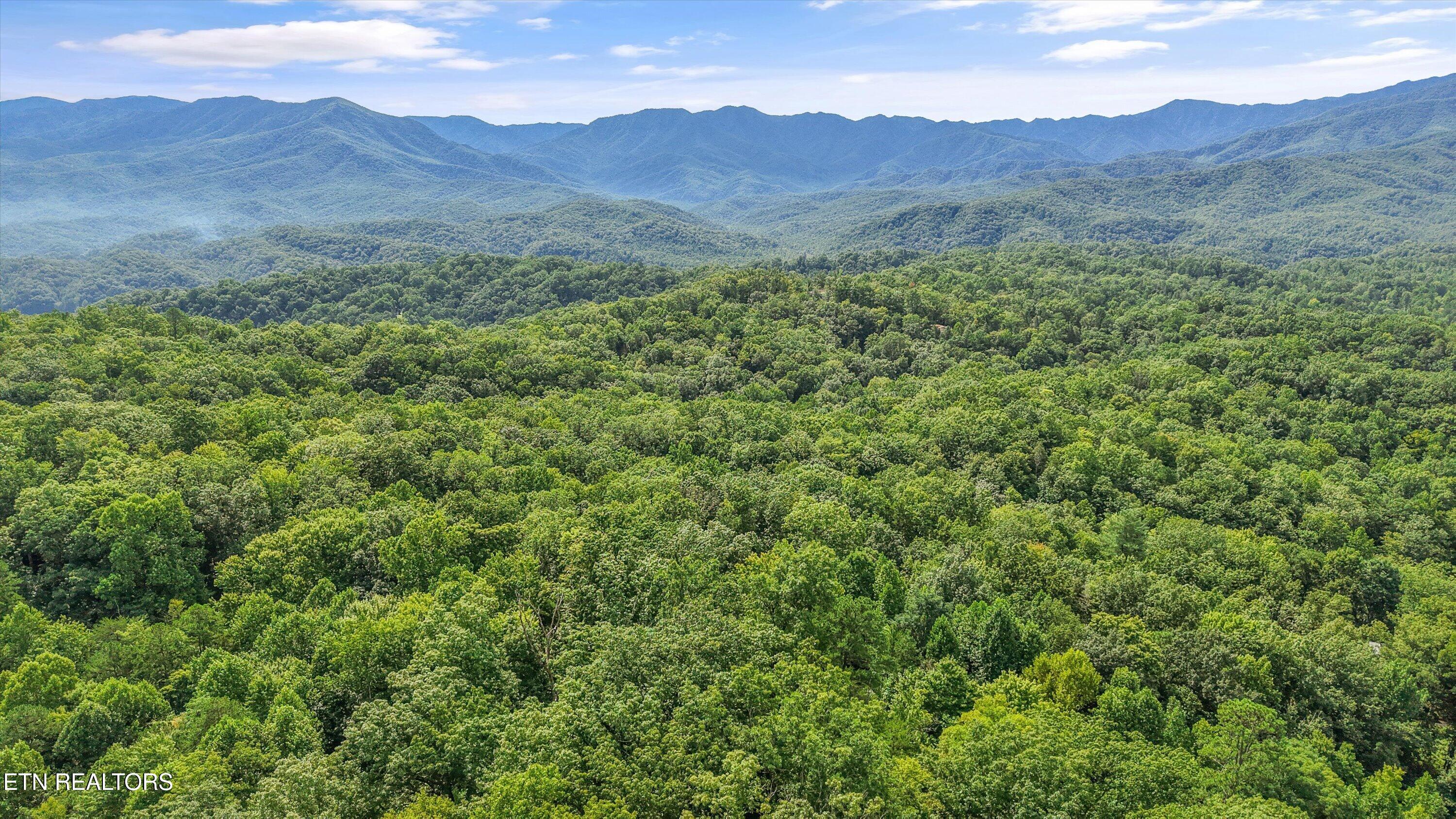 2171 Bause Watson Lane Gatlinburg TN 37738