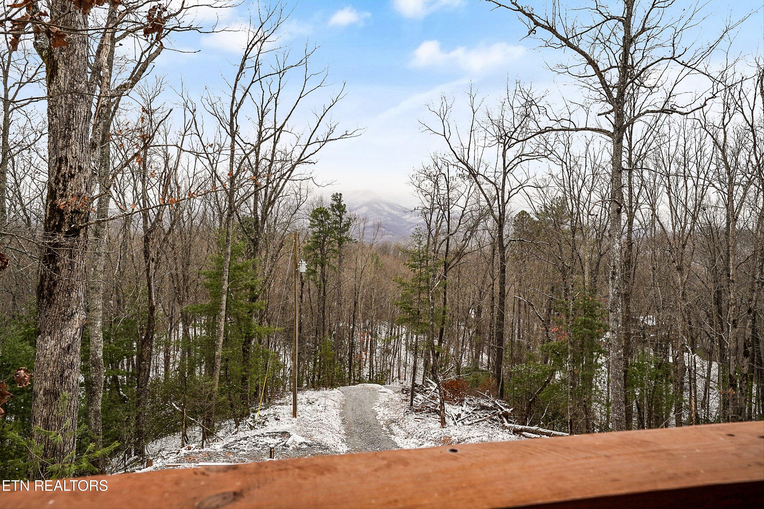 2171 Bause Watson Lane Gatlinburg TN 37738