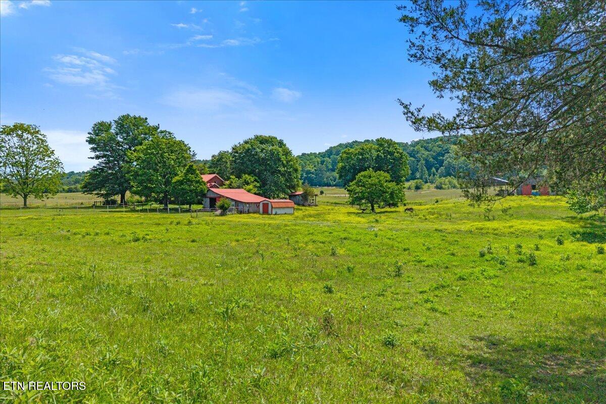 1245 Paint Rock Valley Road Philadelphia TN 37846