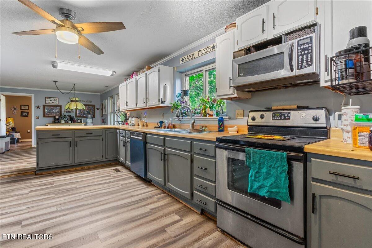 1245 Paint Rock Valley Road Philadelphia TN 37846