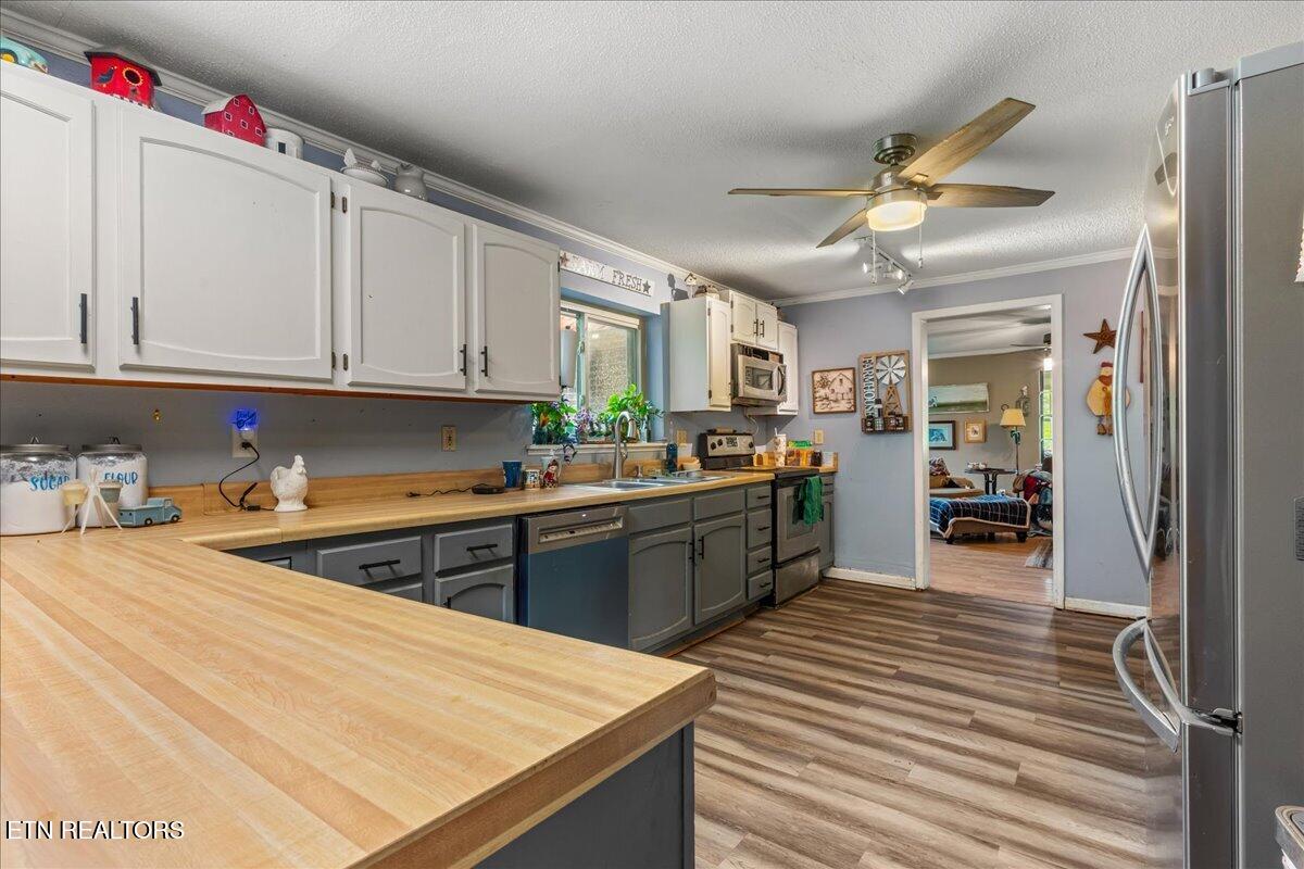 1245 Paint Rock Valley Road Philadelphia TN 37846