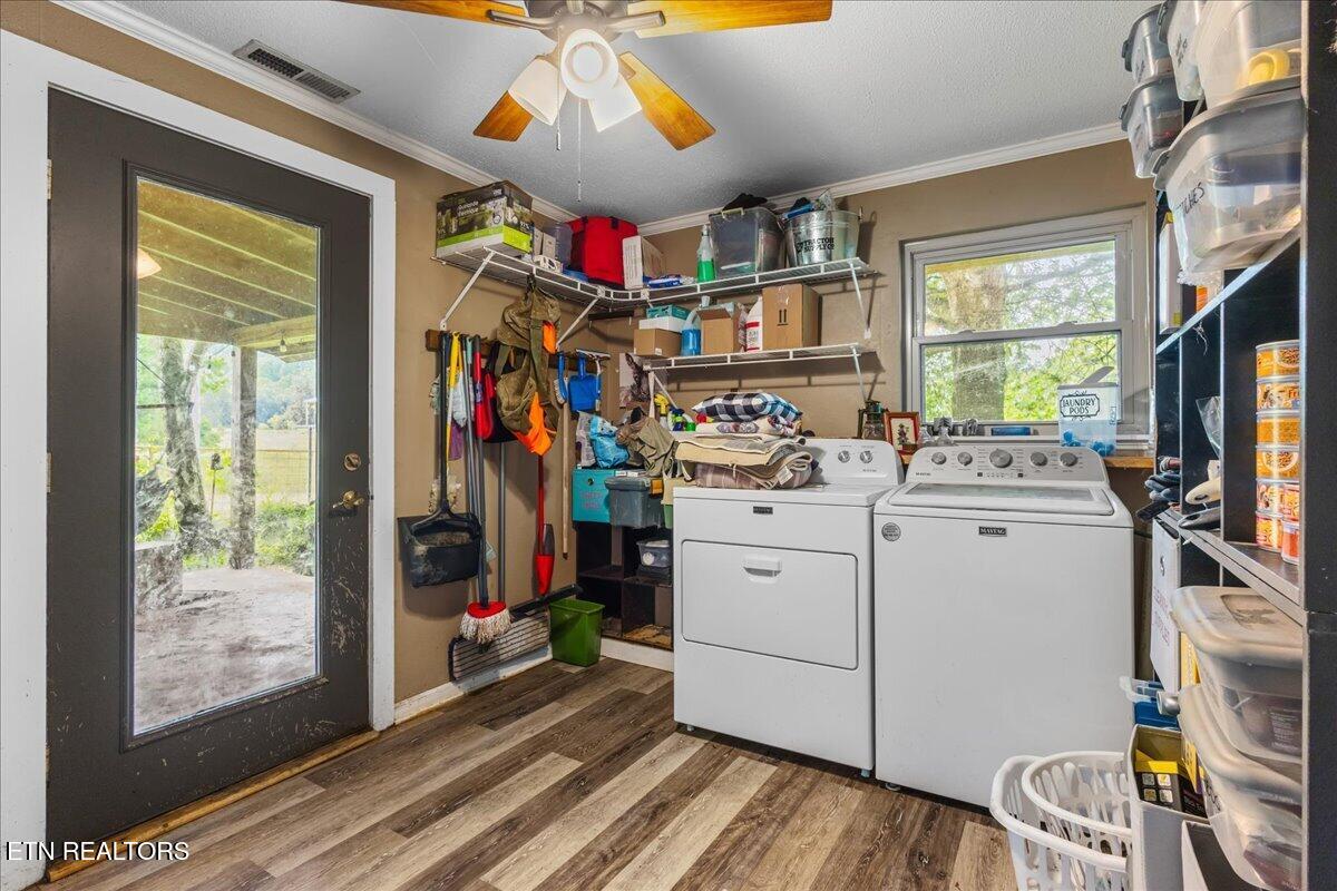 1245 Paint Rock Valley Road Philadelphia TN 37846