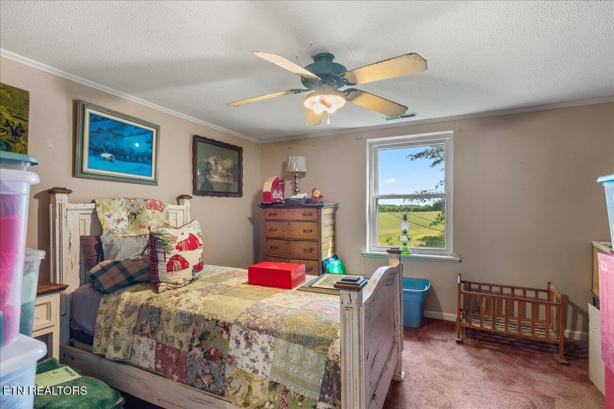 1245 Paint Rock Valley Road Philadelphia TN 37846