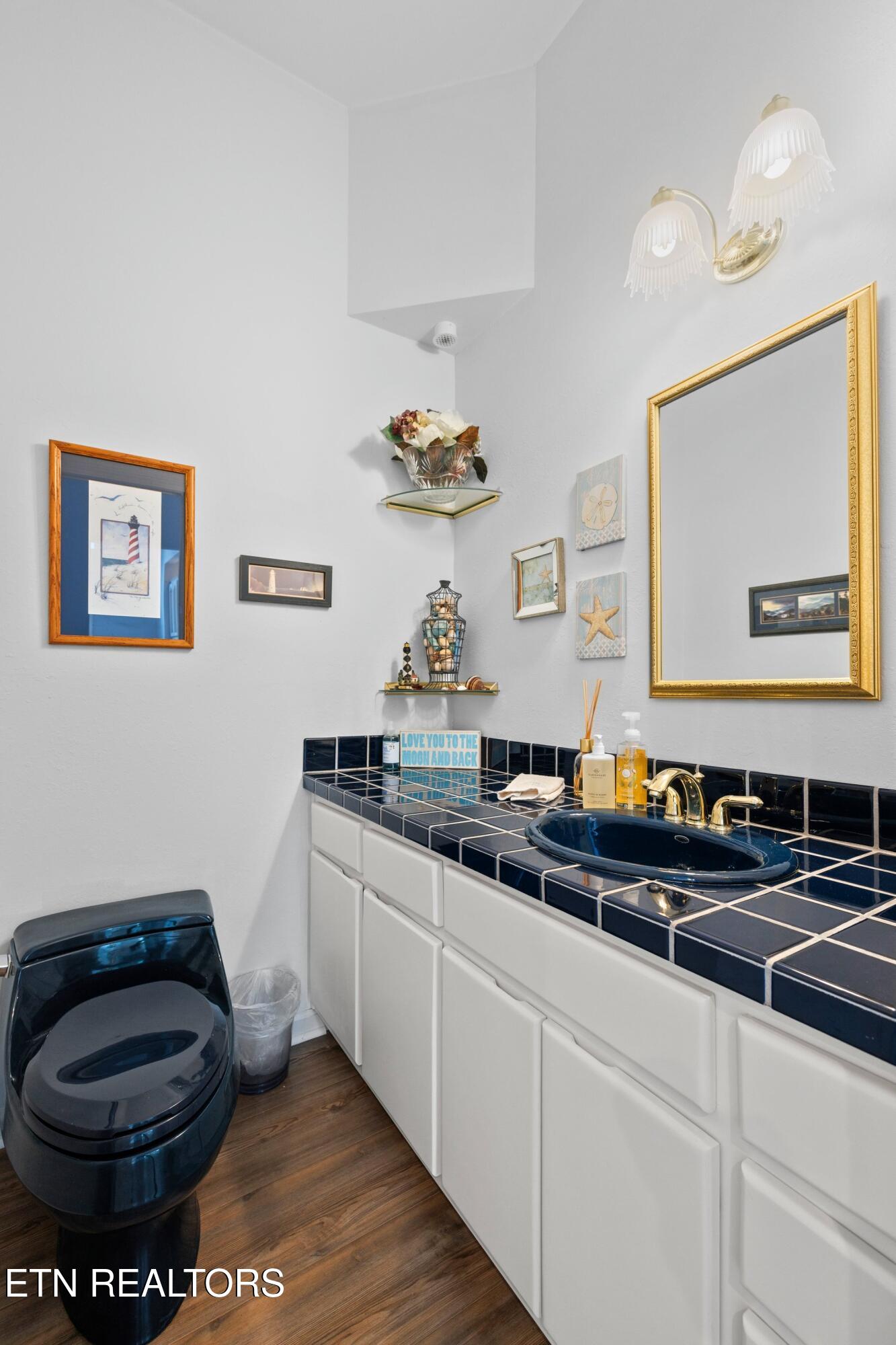 211 Mariners Way Dandridge TN 37725