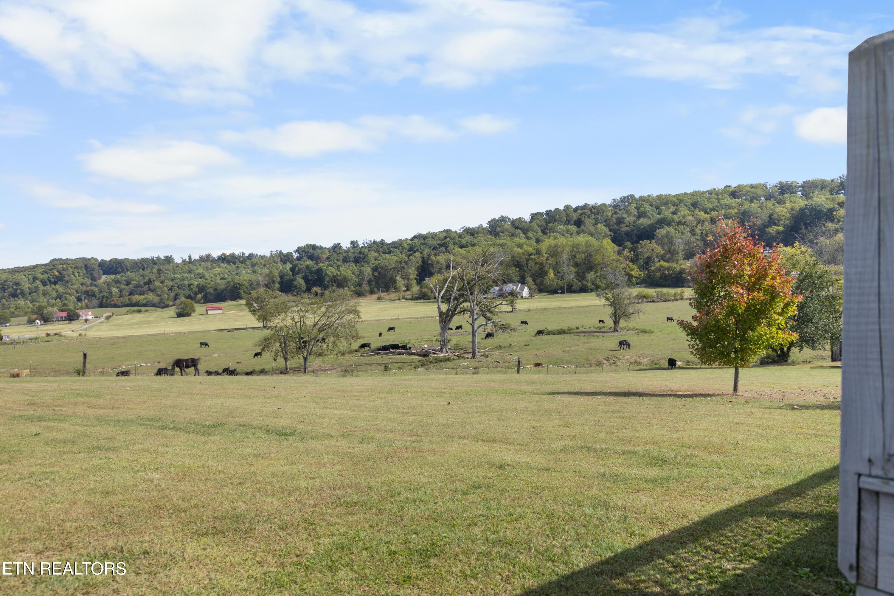 178 Shyane Lane Sweetwater TN 37874