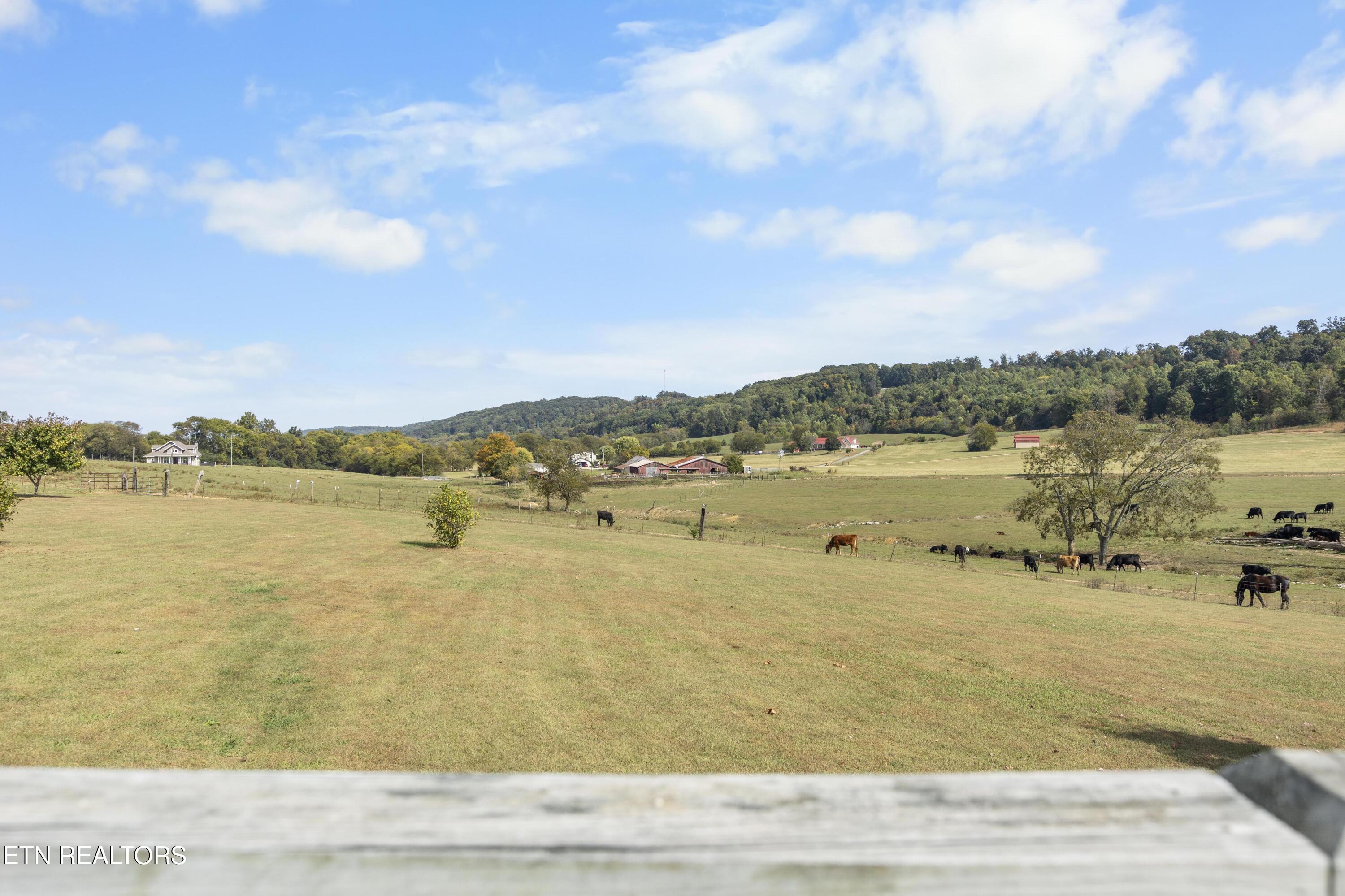 178 Shyane Lane Sweetwater TN 37874