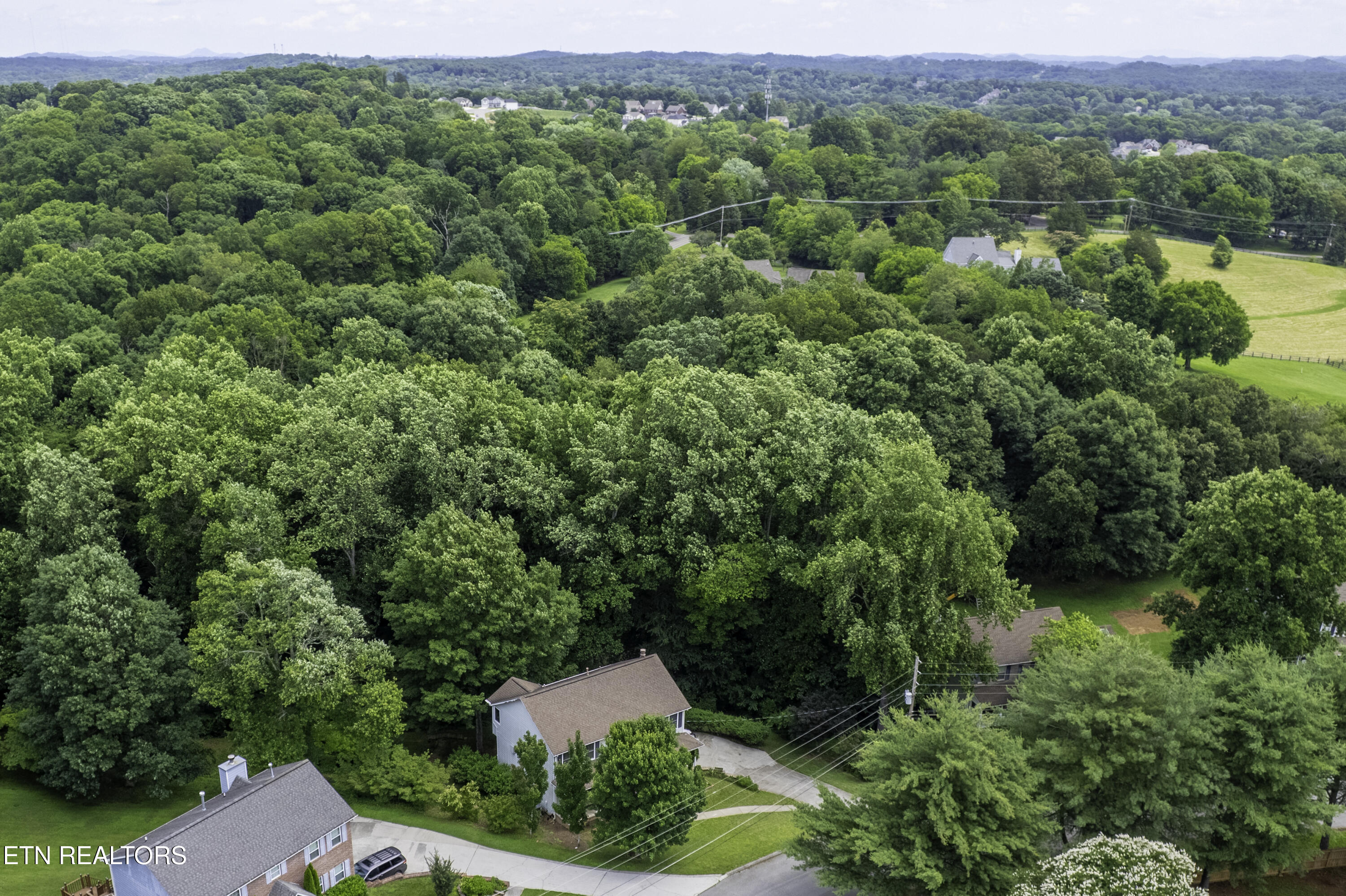 1312 Zachary Taylor Road Knoxville TN 37922