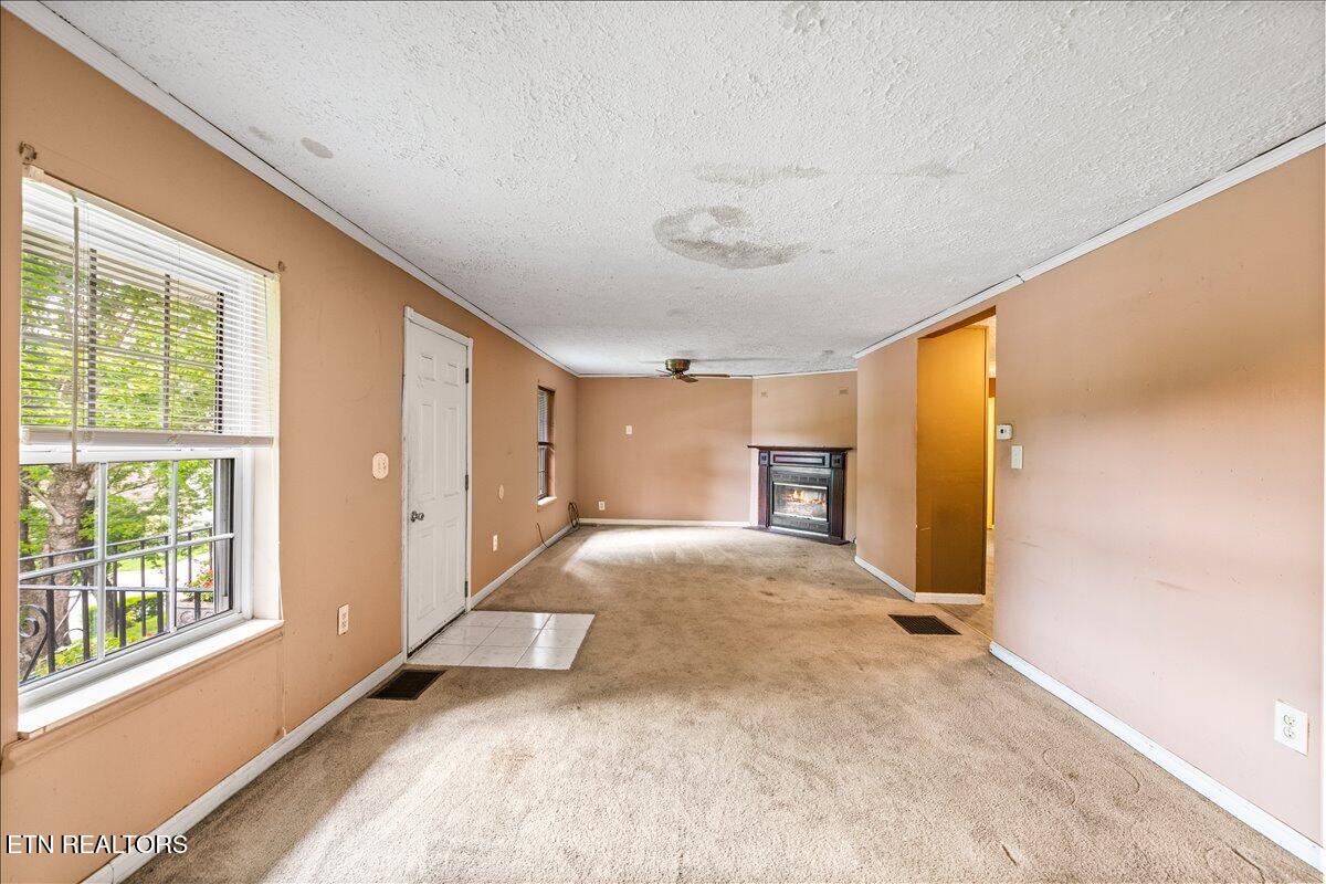503 S Indiana Avenue Lafollette TN 37766