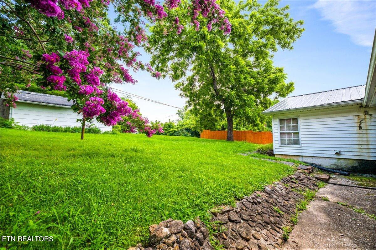 503 S Indiana Avenue Lafollette TN 37766