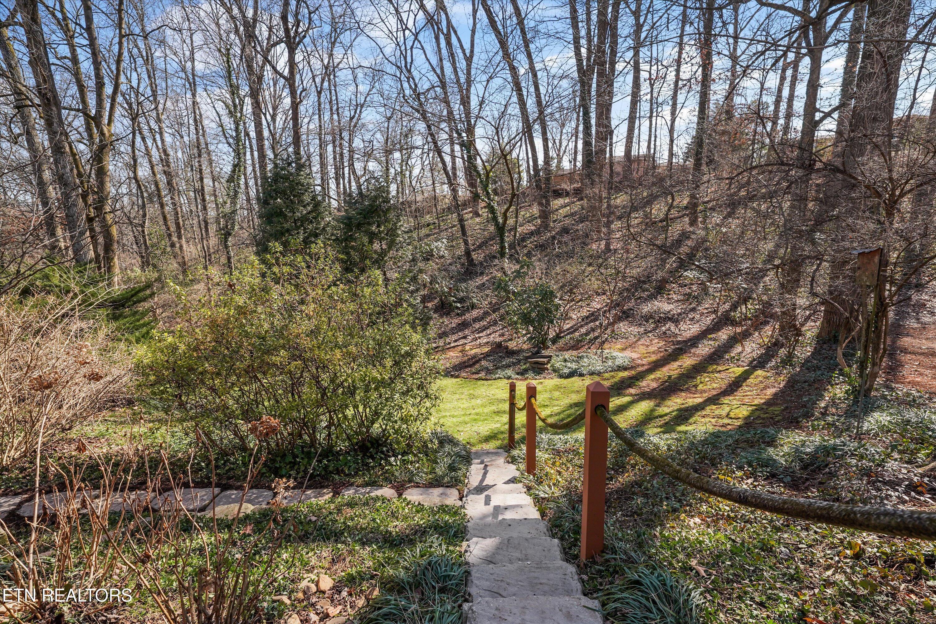 7832 Luxmore Drive Knoxville TN 37919
