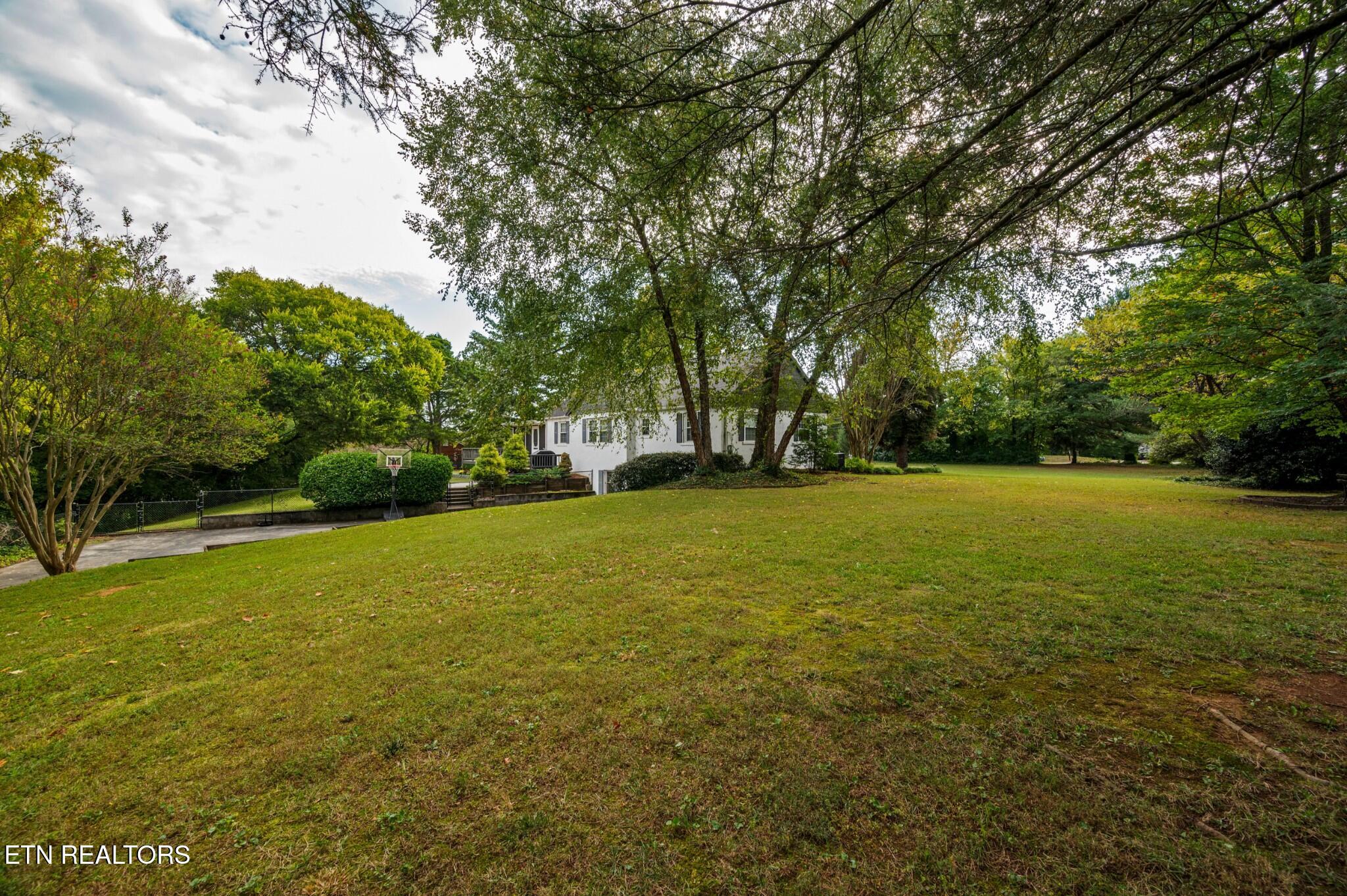 1103 Cedar Lane Knoxville TN 37912