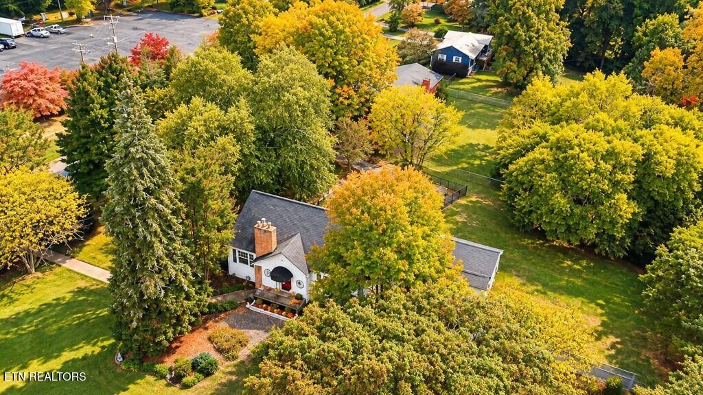 1103 Cedar Lane Knoxville TN 37912