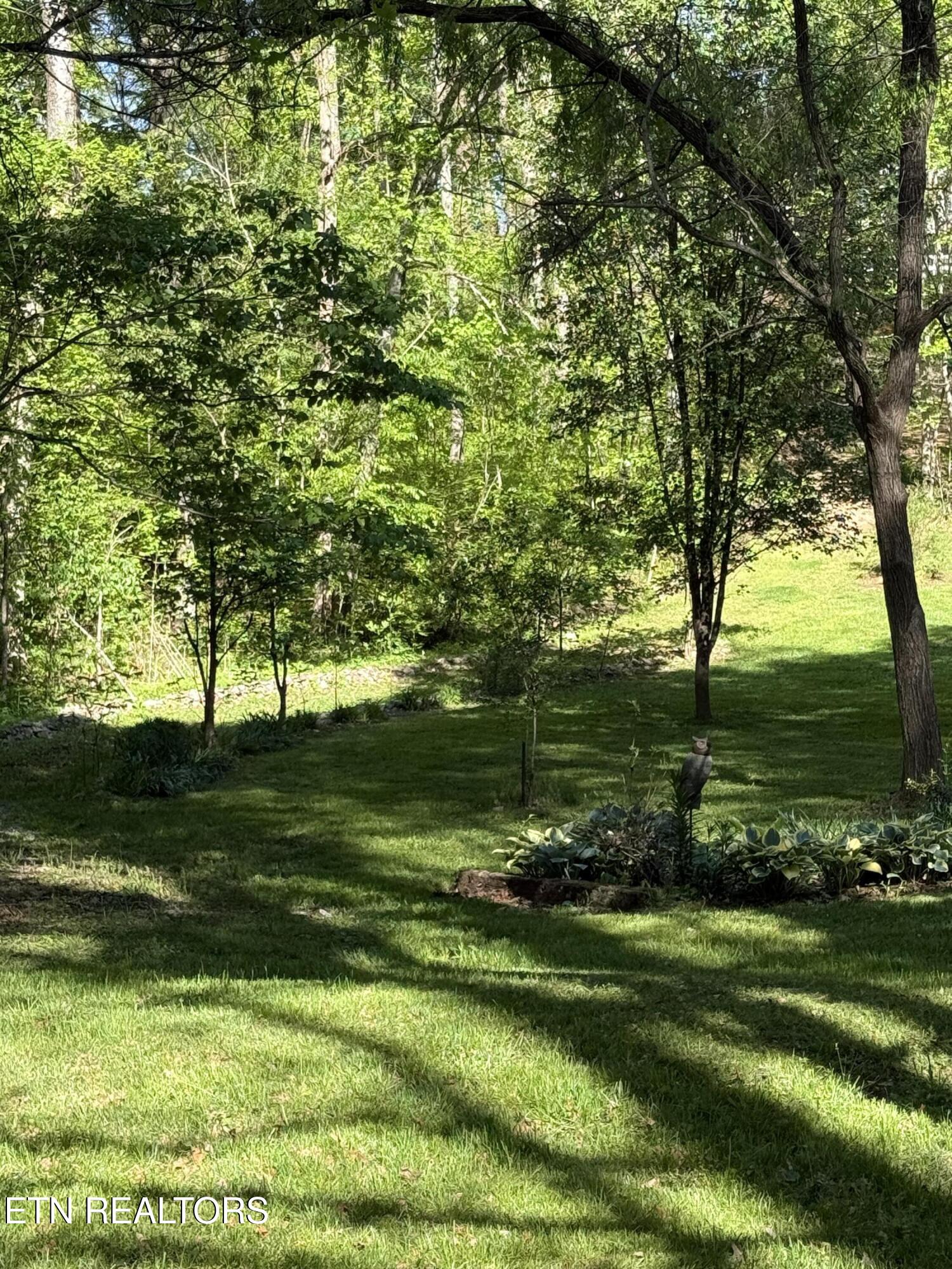 238 Forest Hills Drive New Tazewell TN 37825