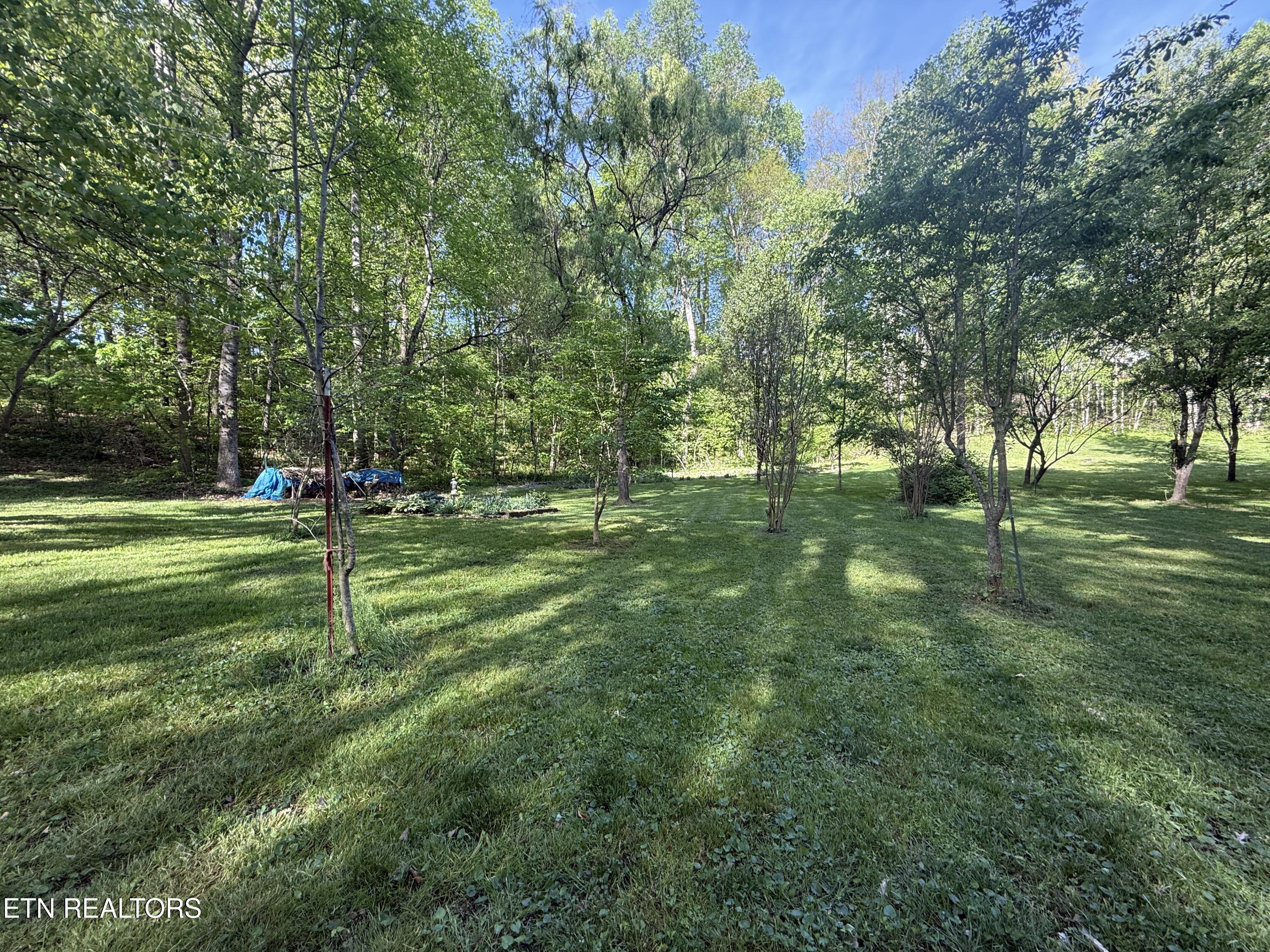 238 Forest Hills Drive New Tazewell TN 37825