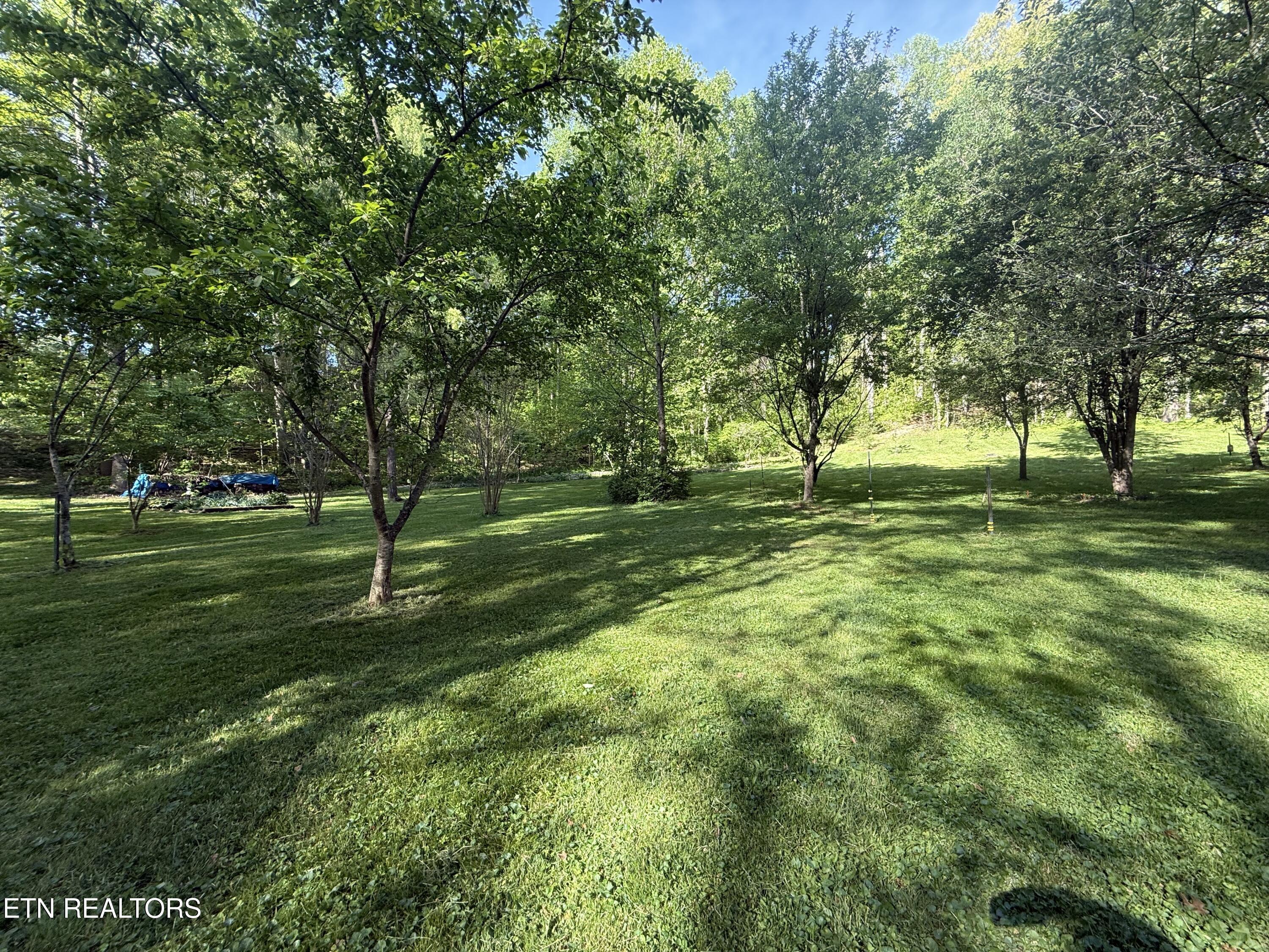 238 Forest Hills Drive New Tazewell TN 37825
