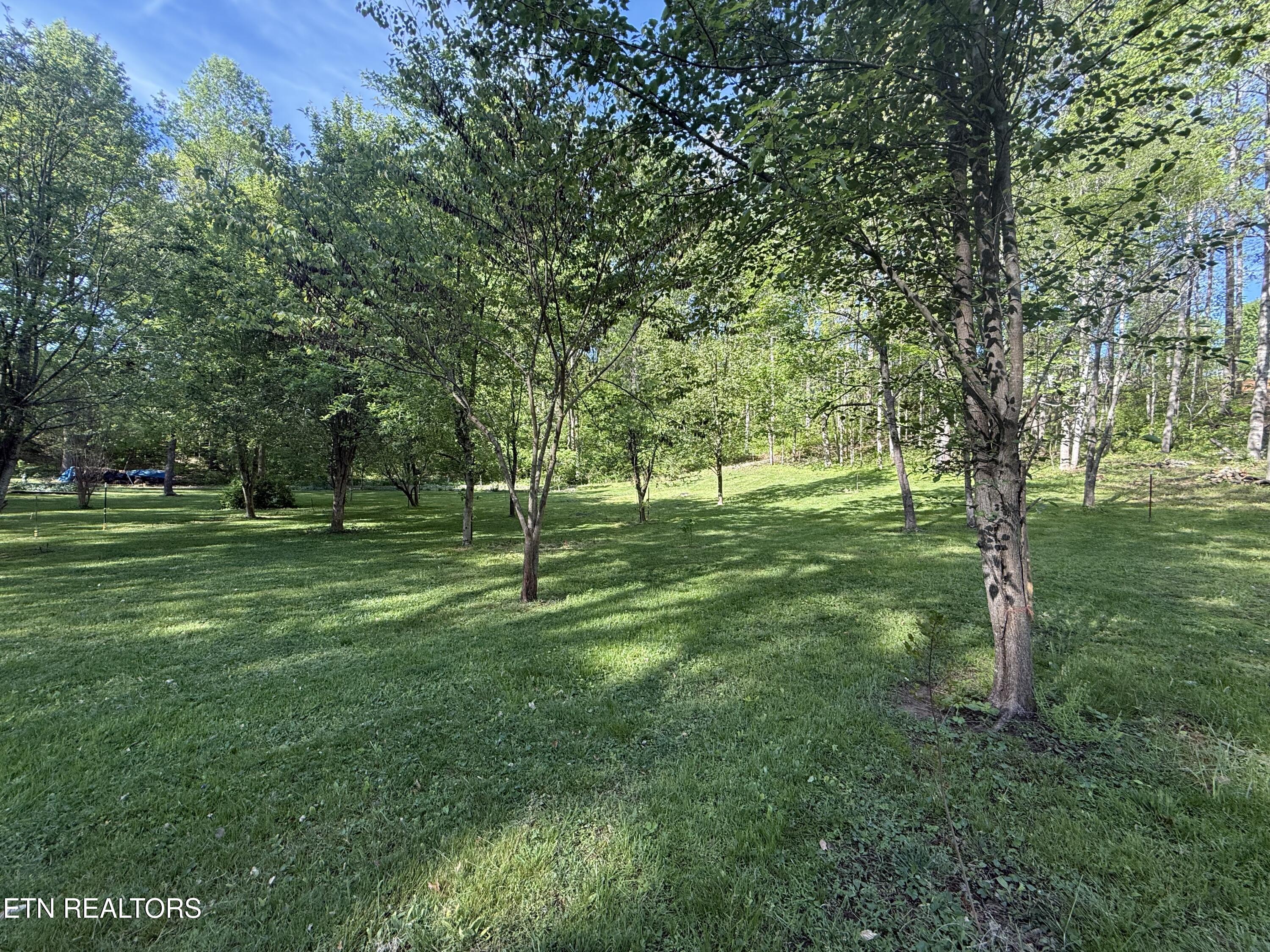 238 Forest Hills Drive New Tazewell TN 37825