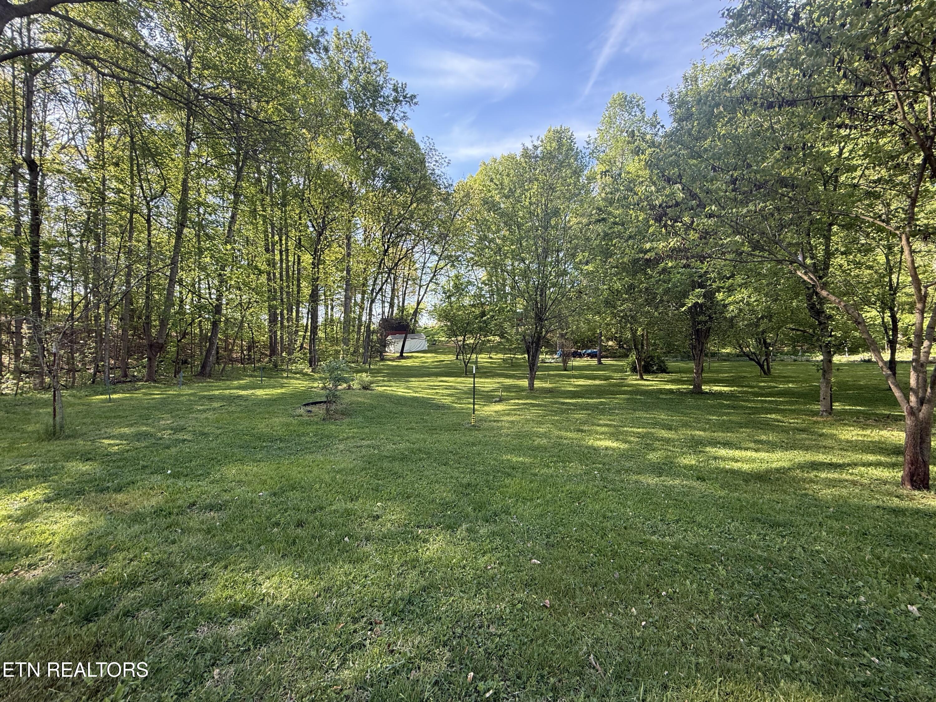 238 Forest Hills Drive New Tazewell TN 37825