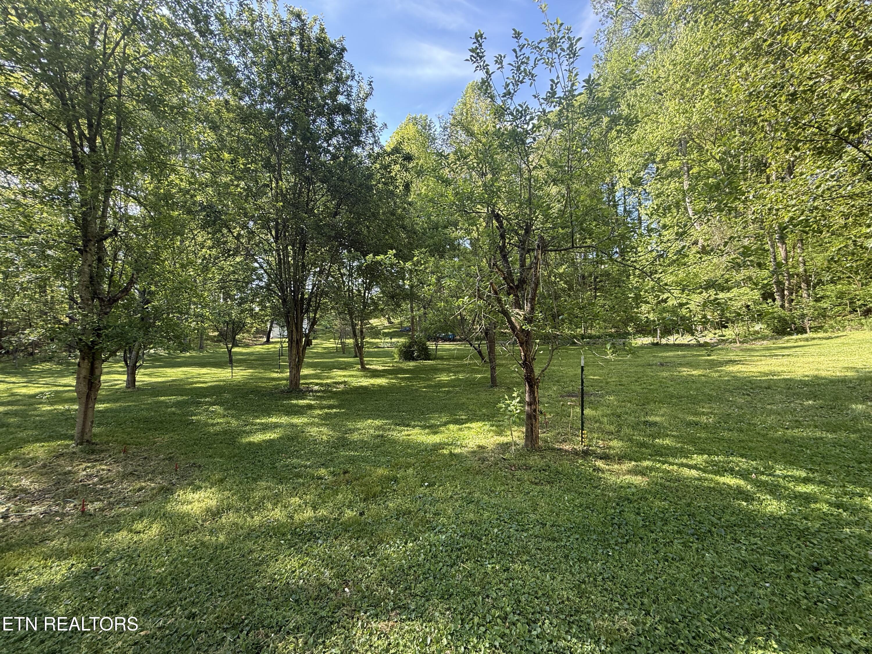 238 Forest Hills Drive New Tazewell TN 37825