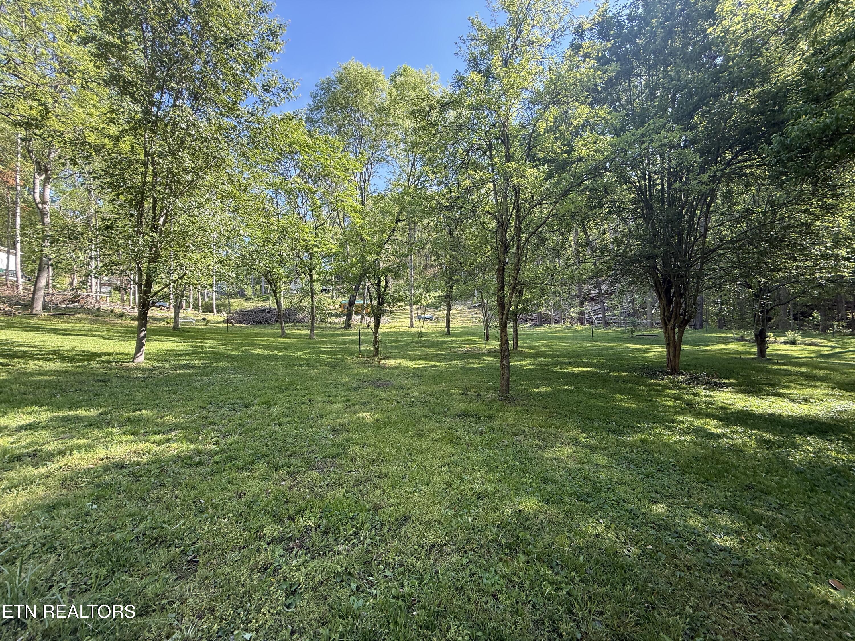 238 Forest Hills Drive New Tazewell TN 37825