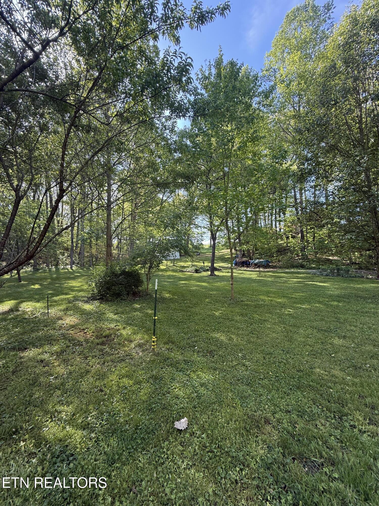 238 Forest Hills Drive New Tazewell TN 37825