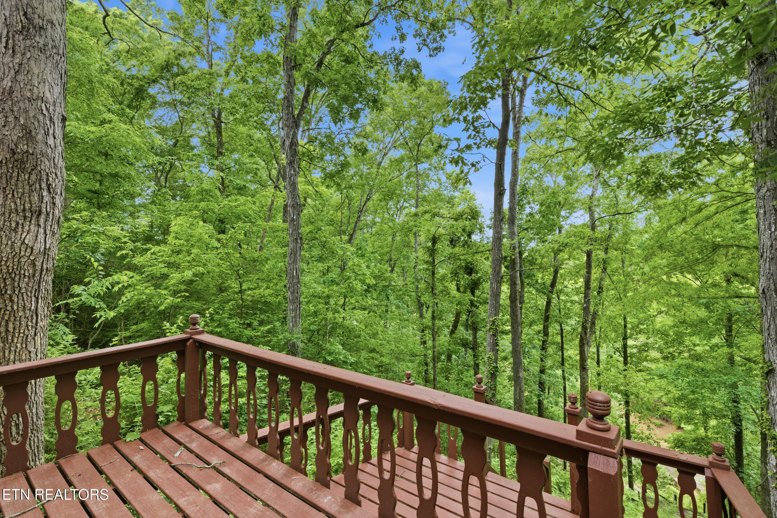 730 Chris Way Sevierville TN 37876