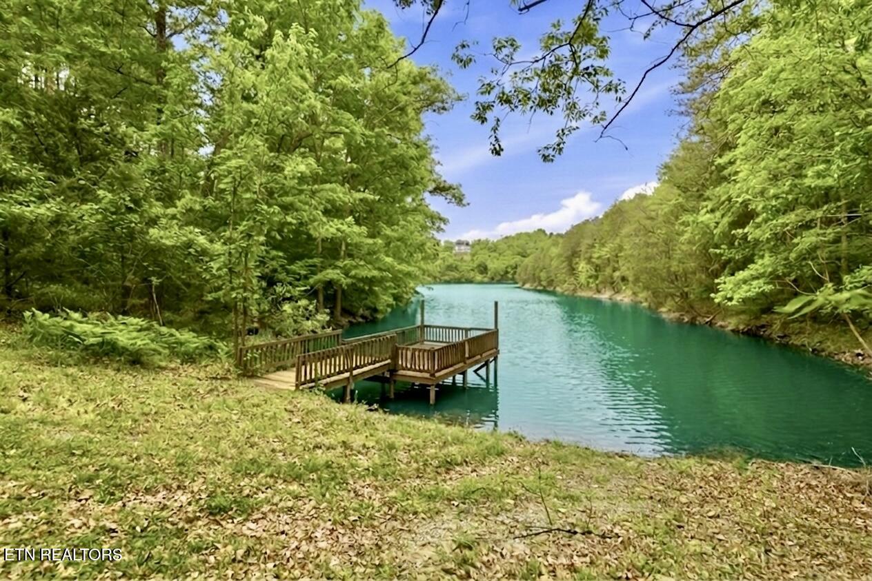 730 Chris Way Sevierville TN 37876