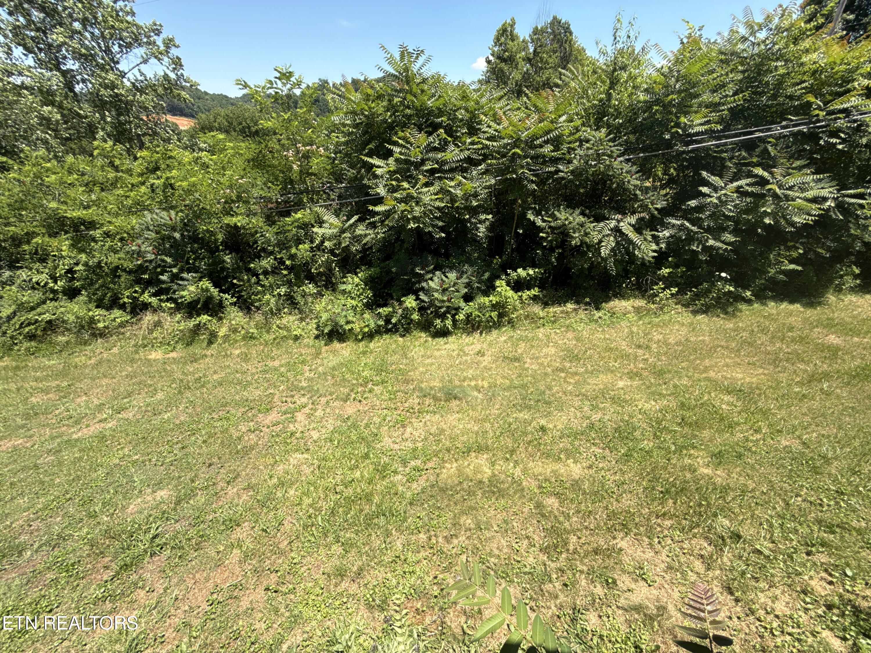1325 Sharp Lane Caryville TN 37714