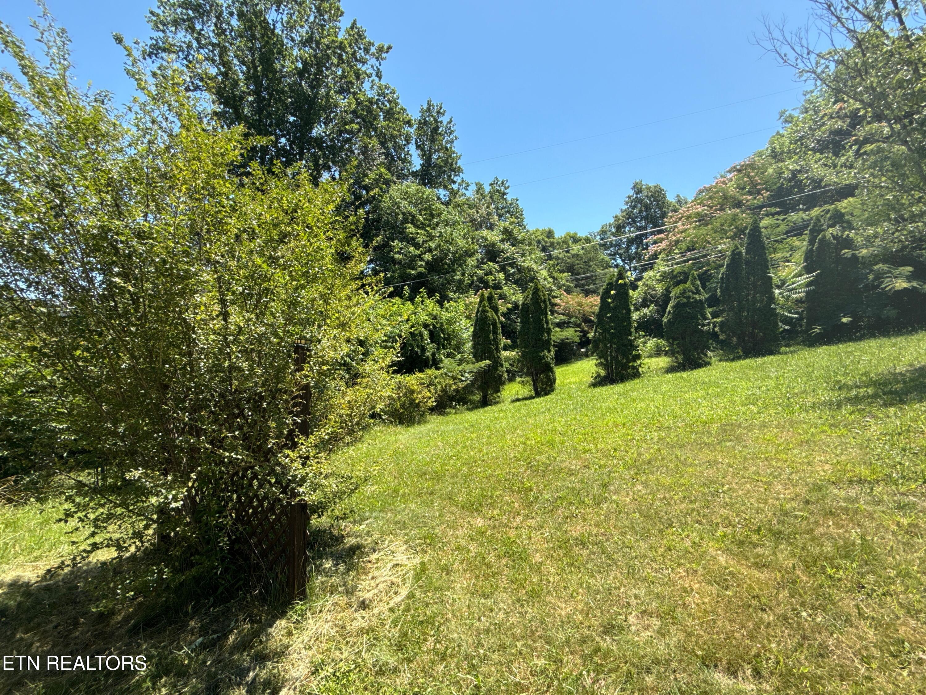 1325 Sharp Lane Caryville TN 37714