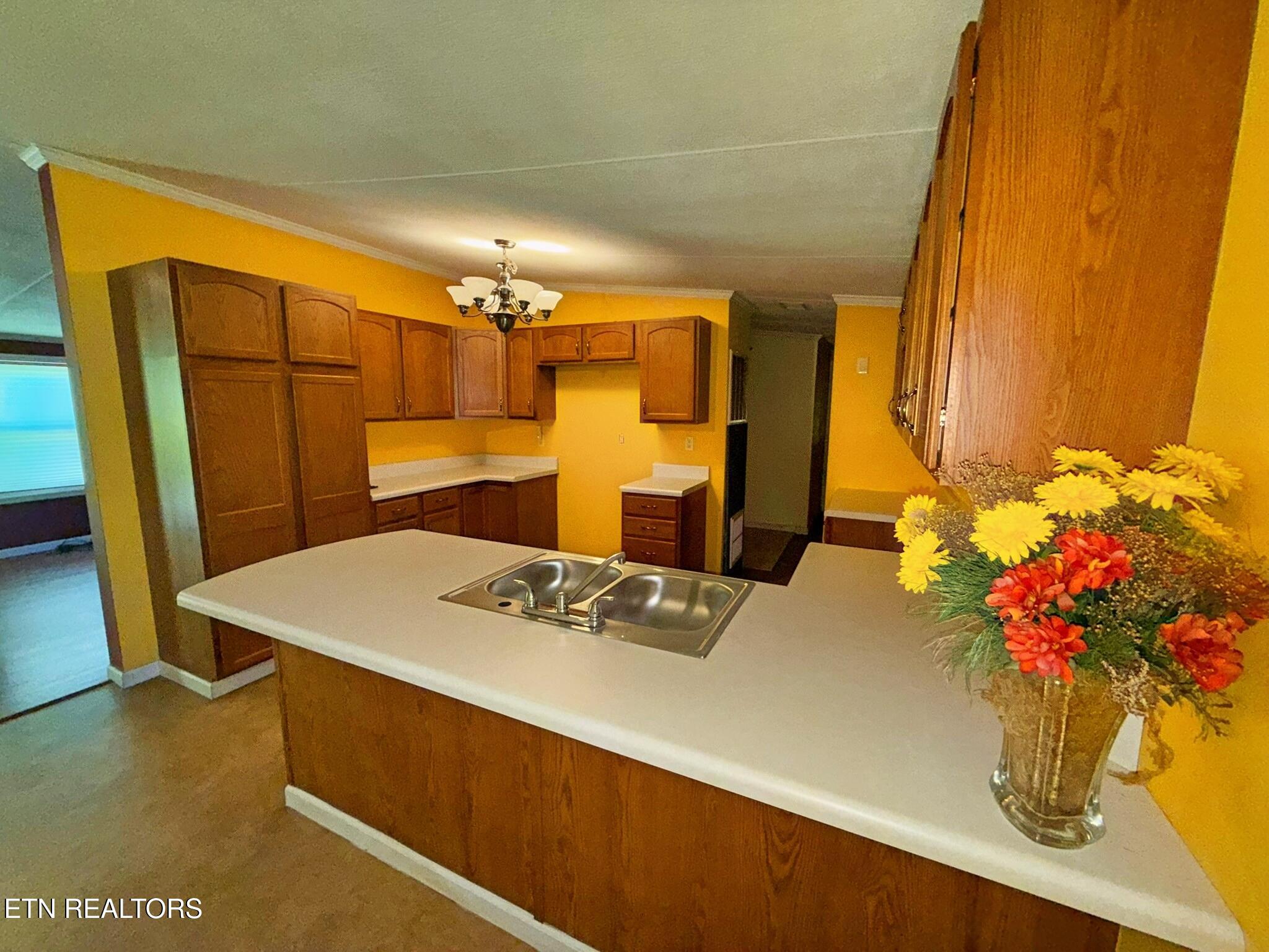 1325 Sharp Lane Caryville TN 37714
