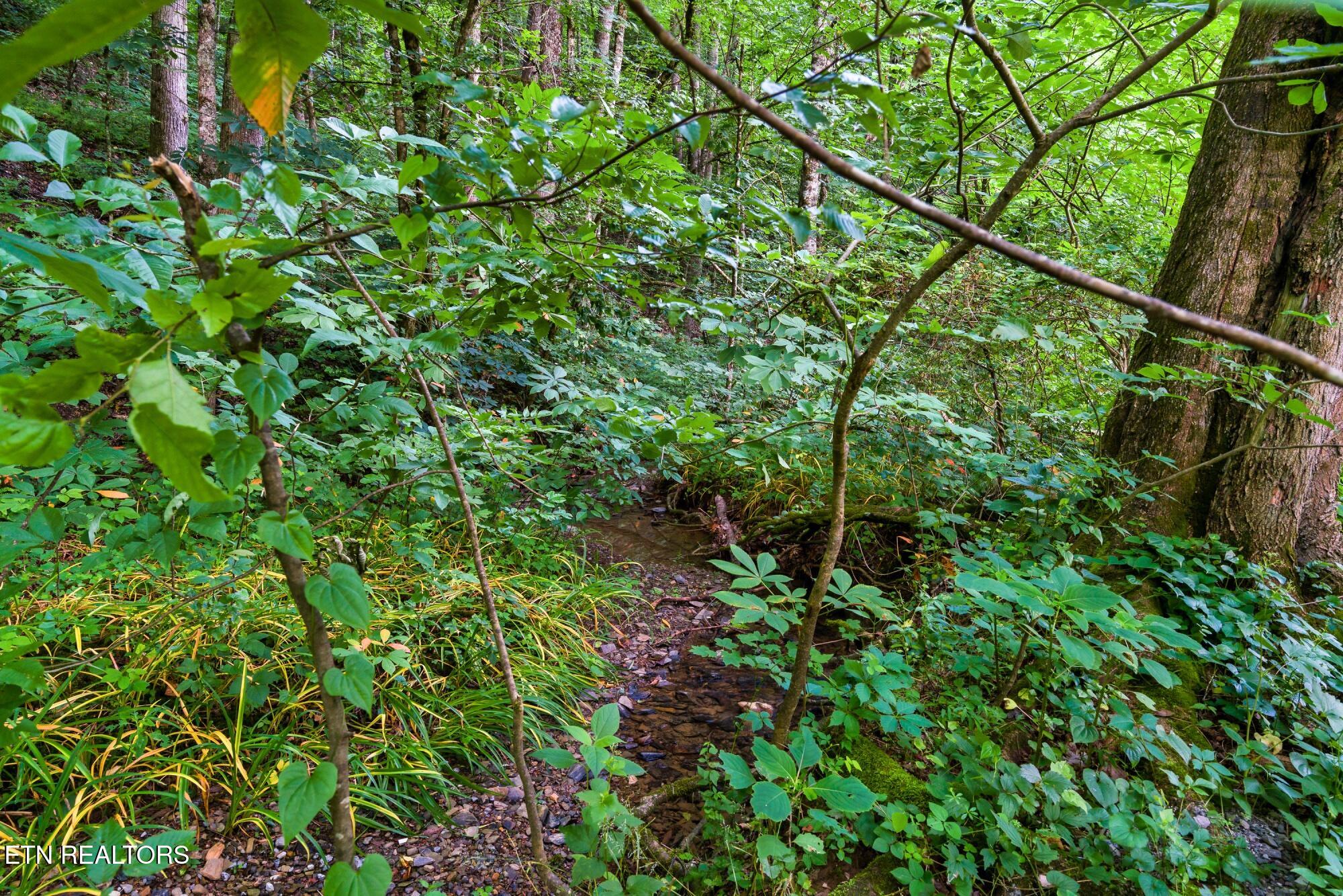 3211 Old Mountain Road Sevierville TN 37876