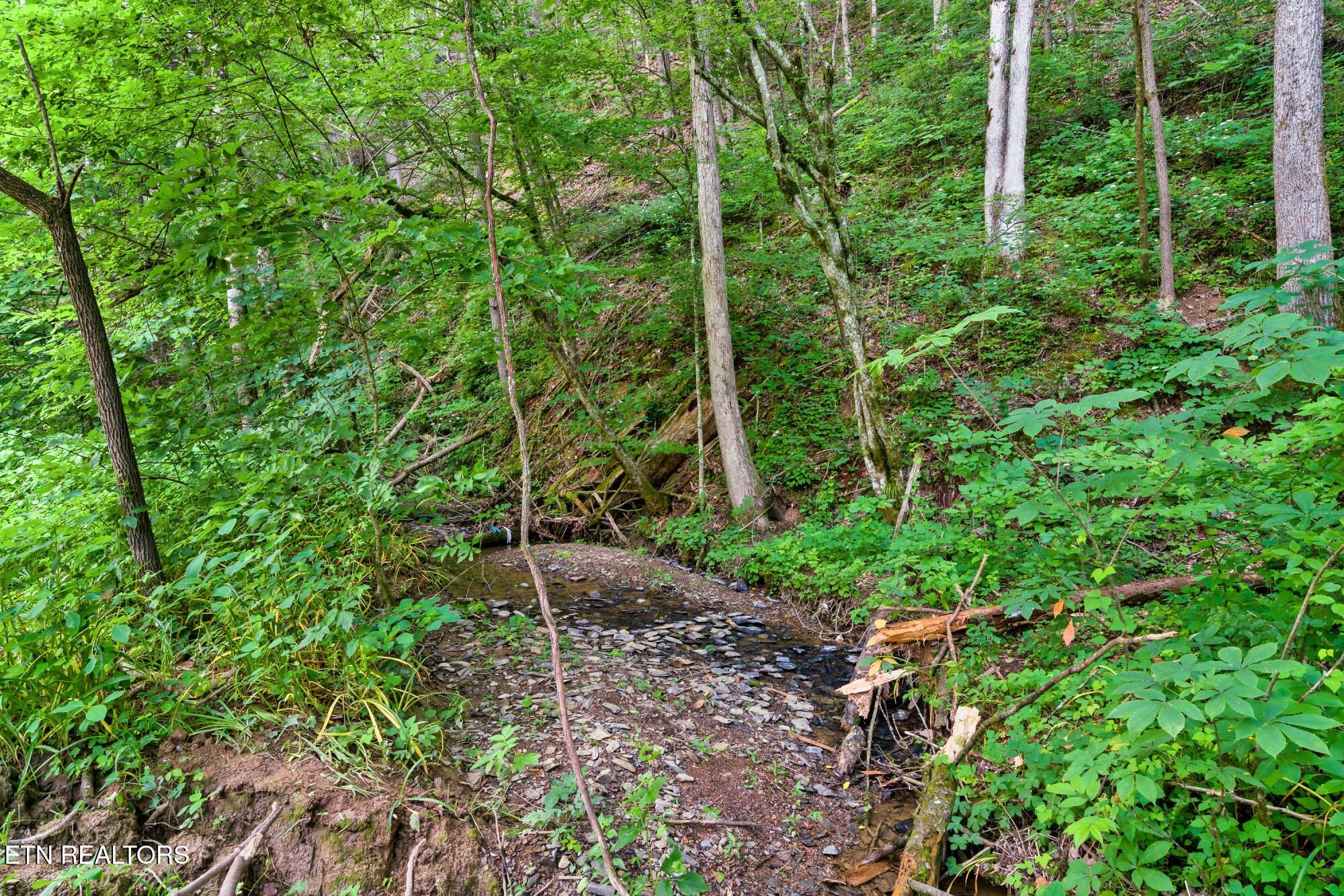 3211 Old Mountain Road Sevierville TN 37876