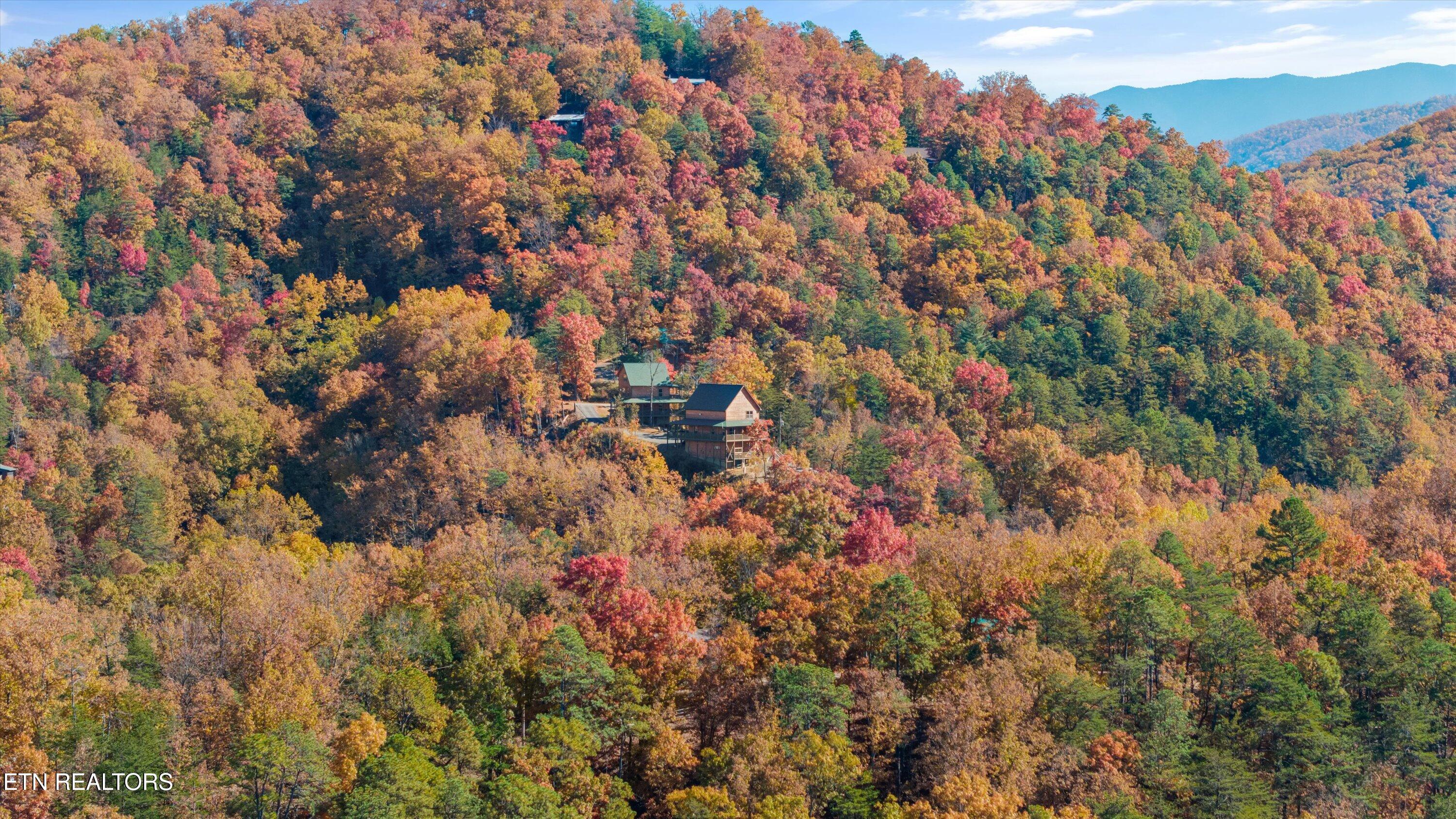 3165 Bear Mountain Lane Sevierville TN 37876
