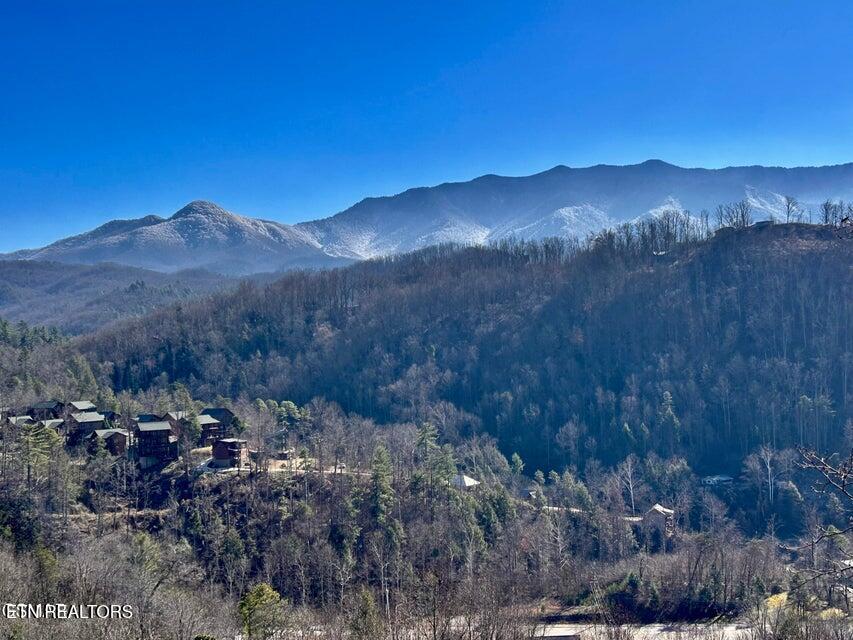 656 Park Vista Way Gatlinburg TN 37738
